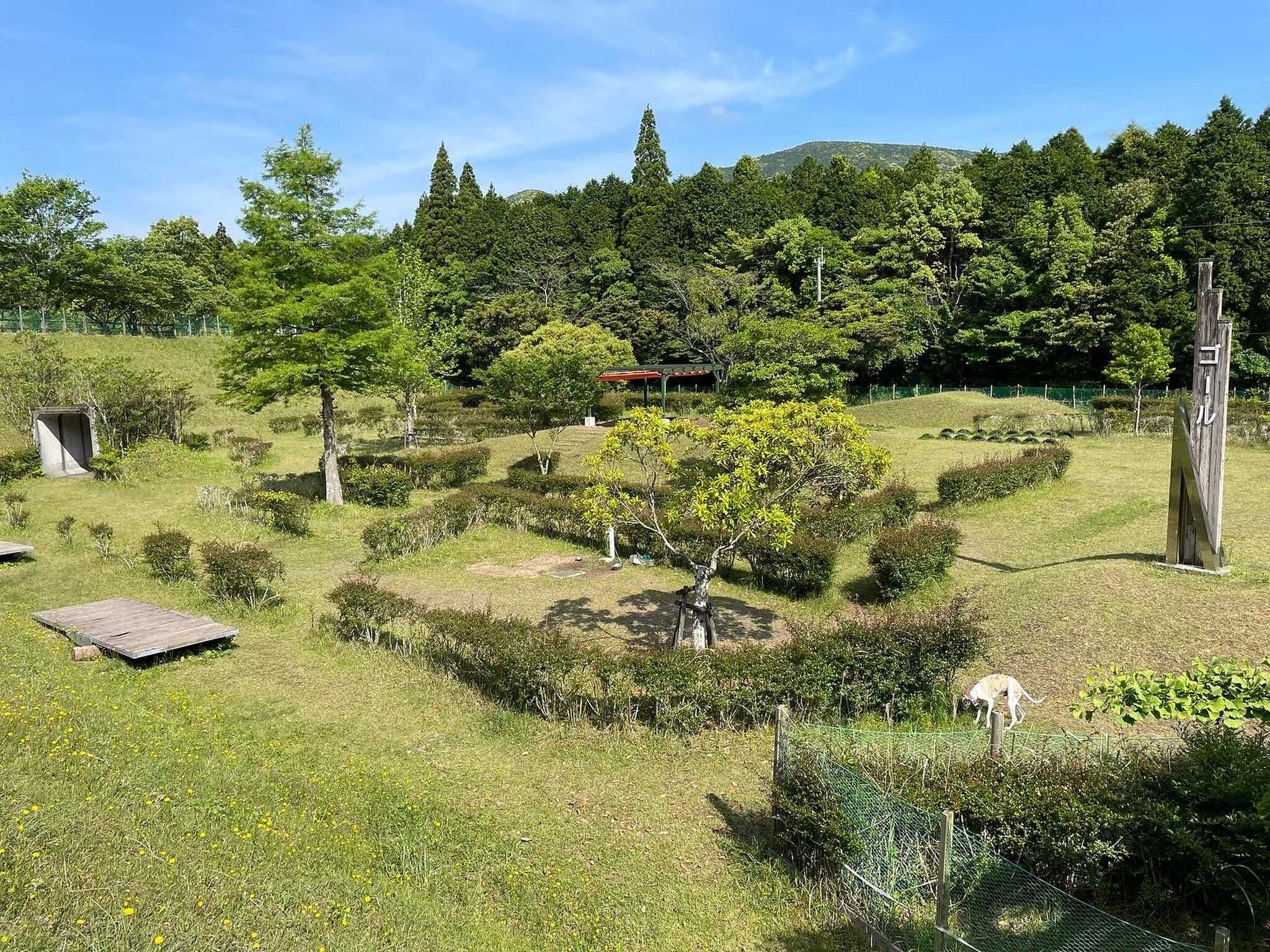 広々としたドッグラン