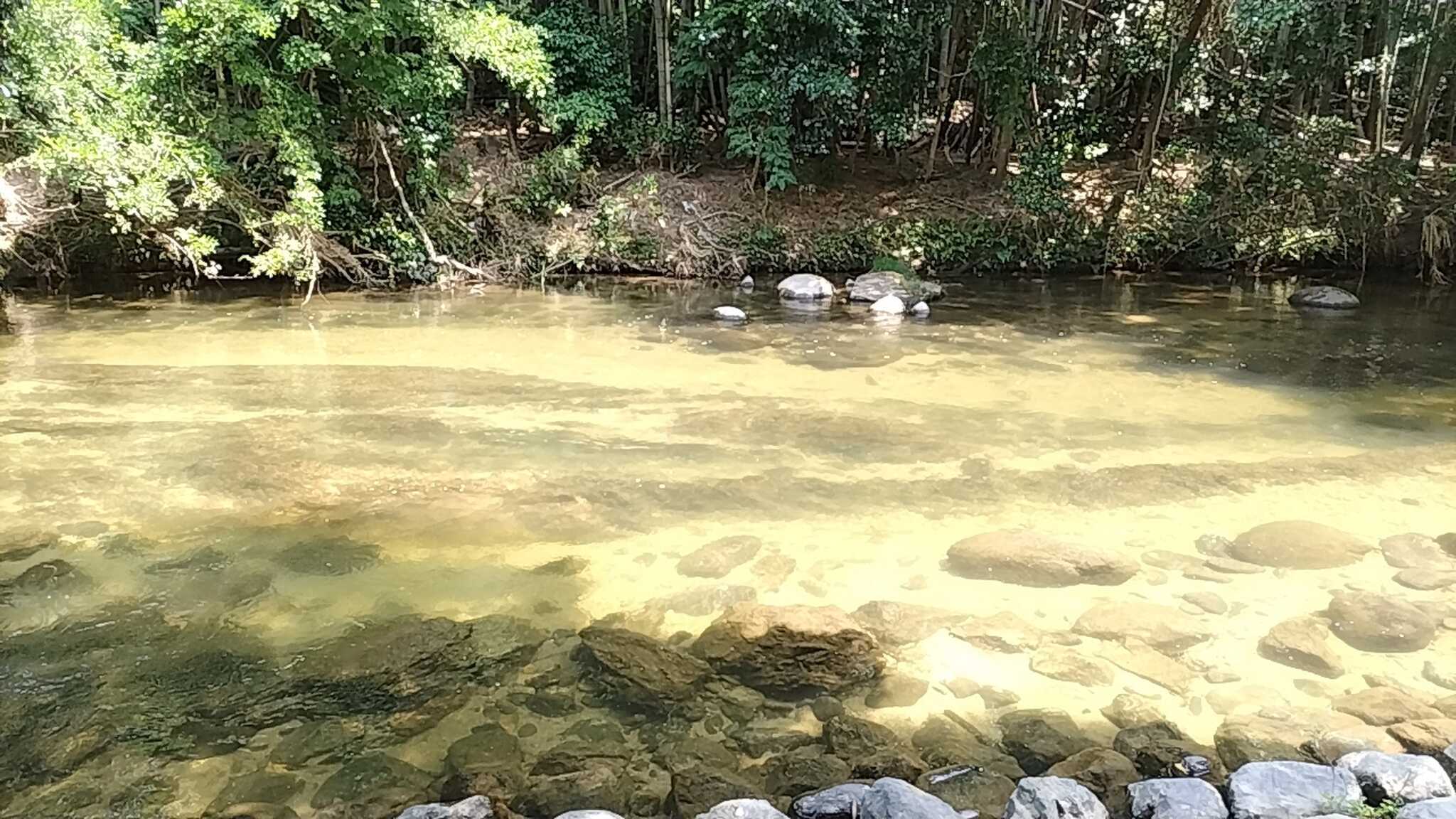 川遊び
