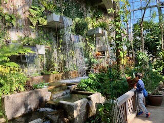 植物園
