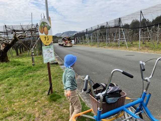 施設内トレインとレンタサイクル