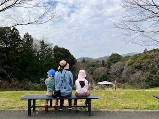 展望