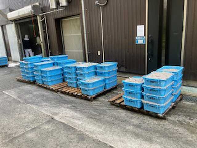 近所のシラス処理工場