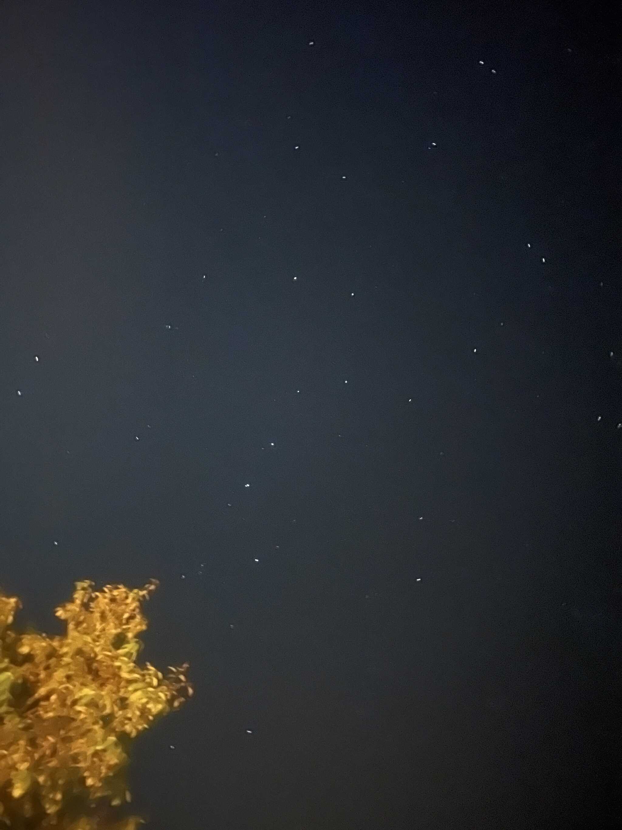 星空