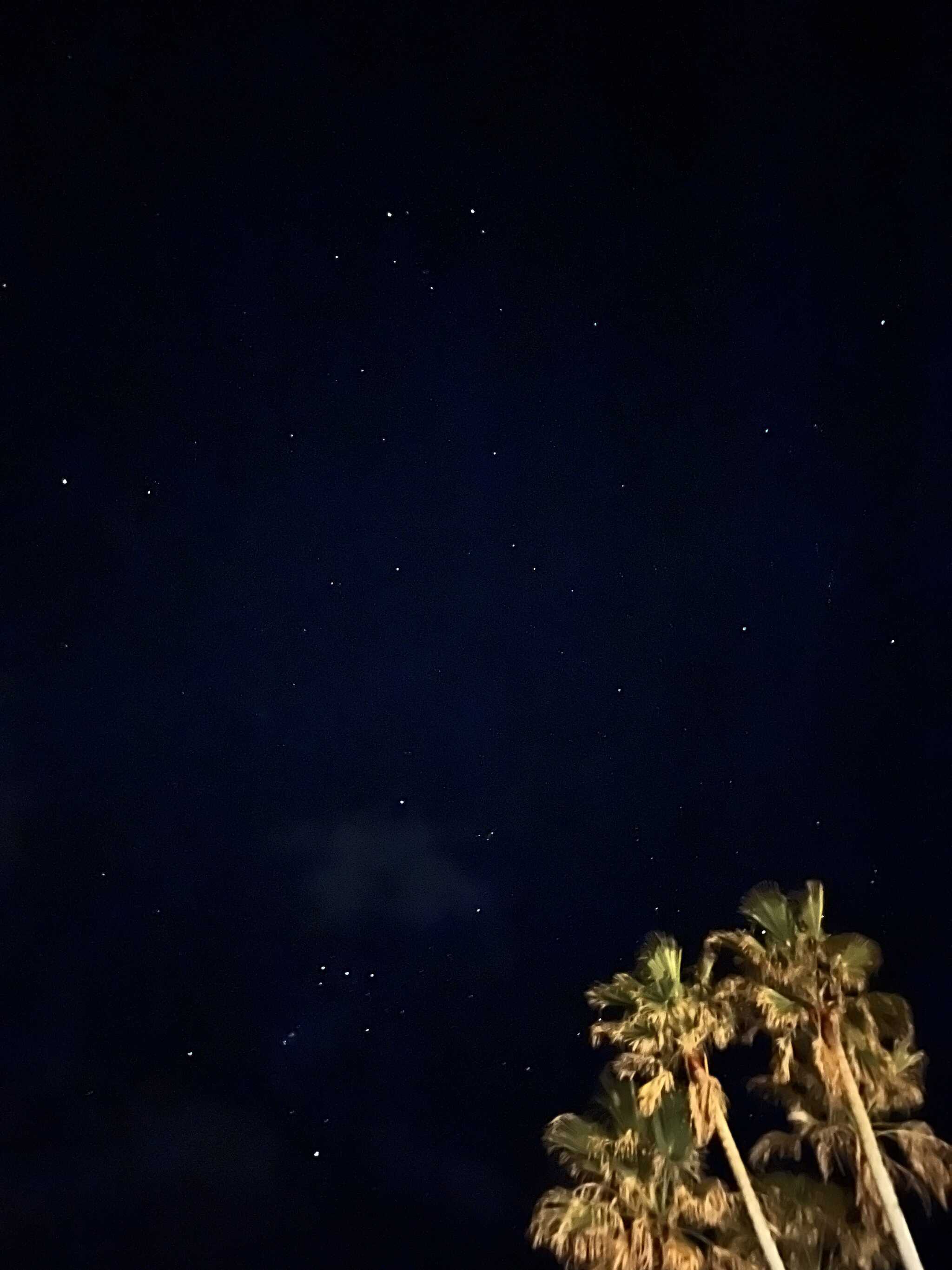 星がキレイでした。