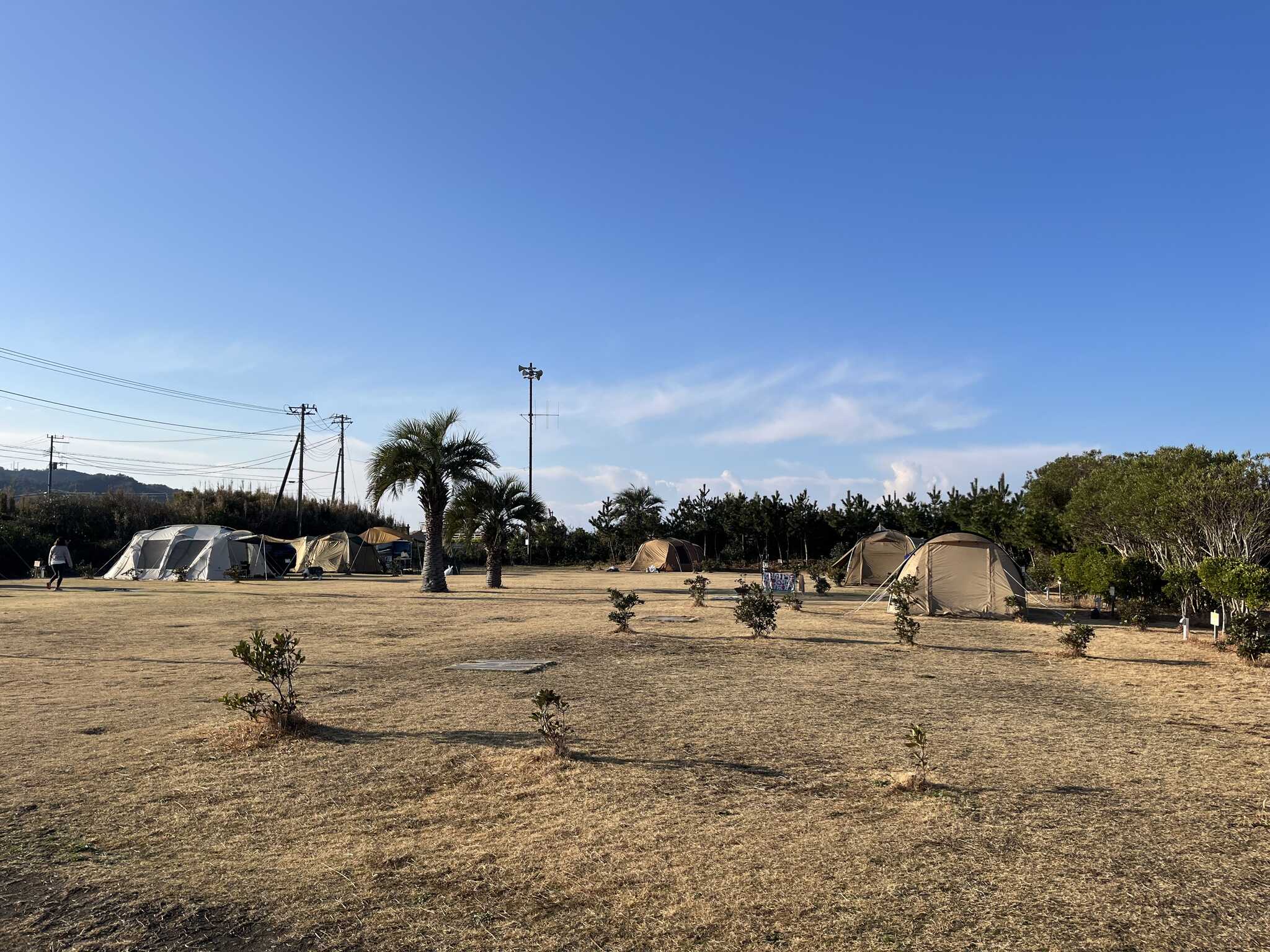 キャンプ場