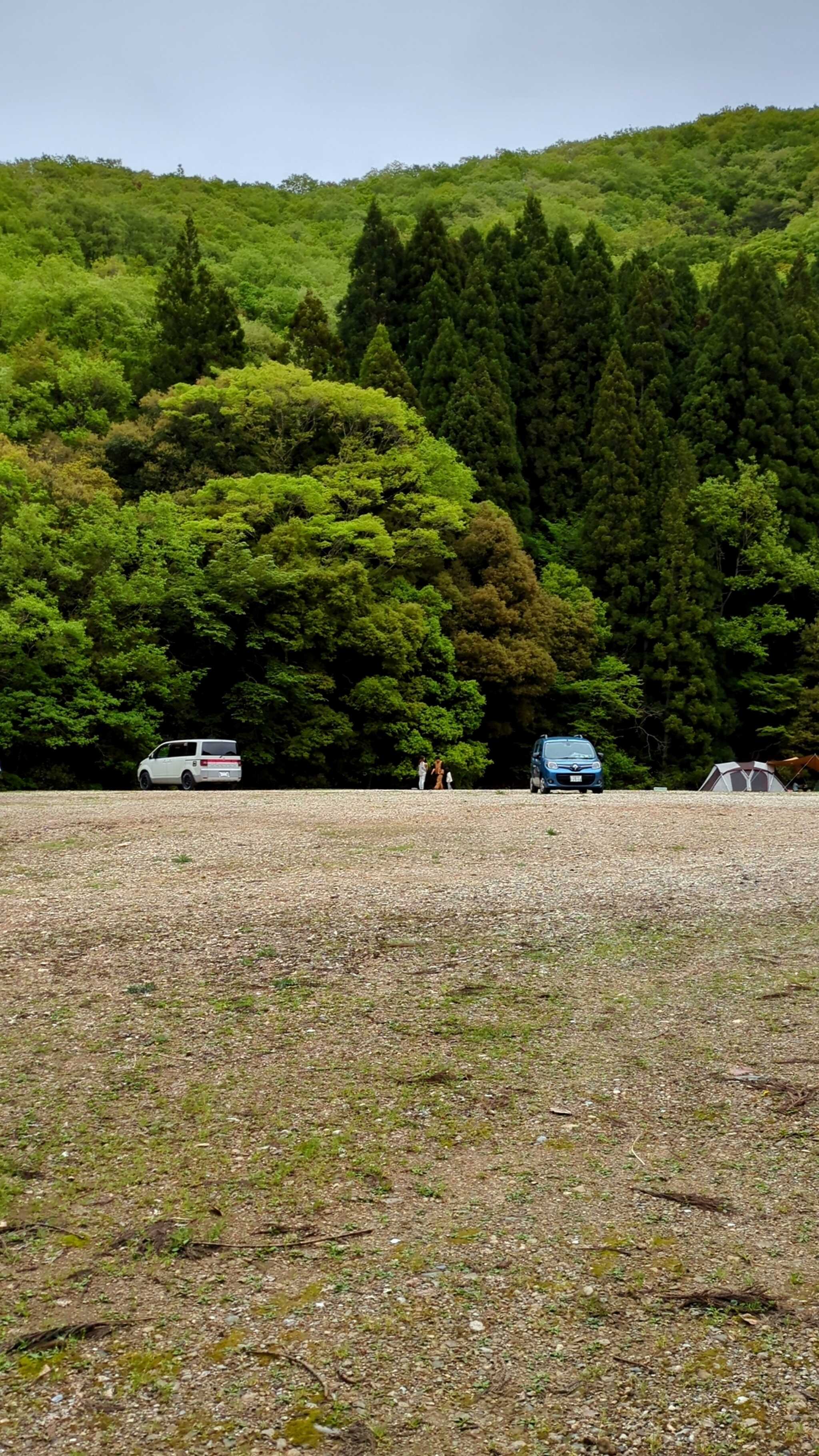 サイトの様子