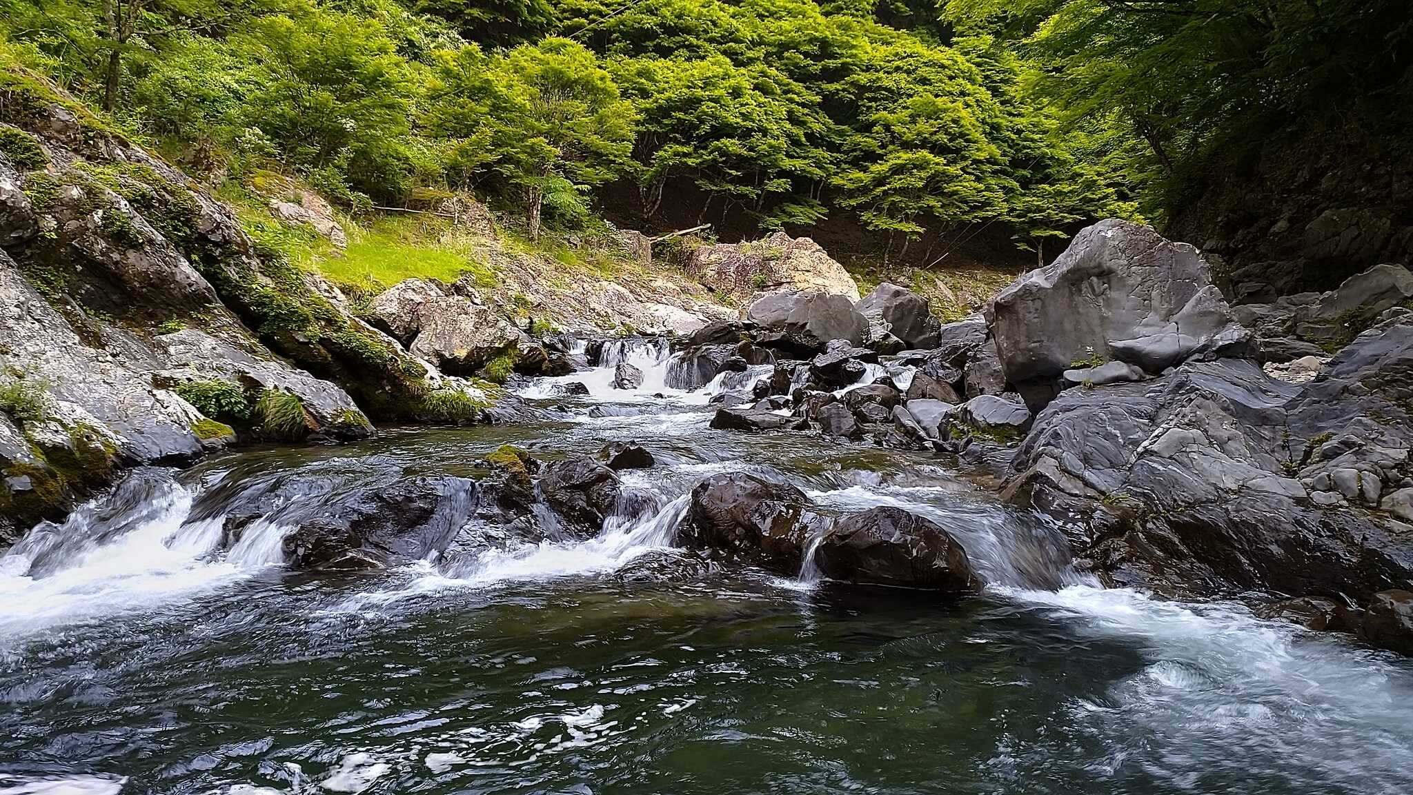 後ろ降りたところにこのような所があり癒されました。