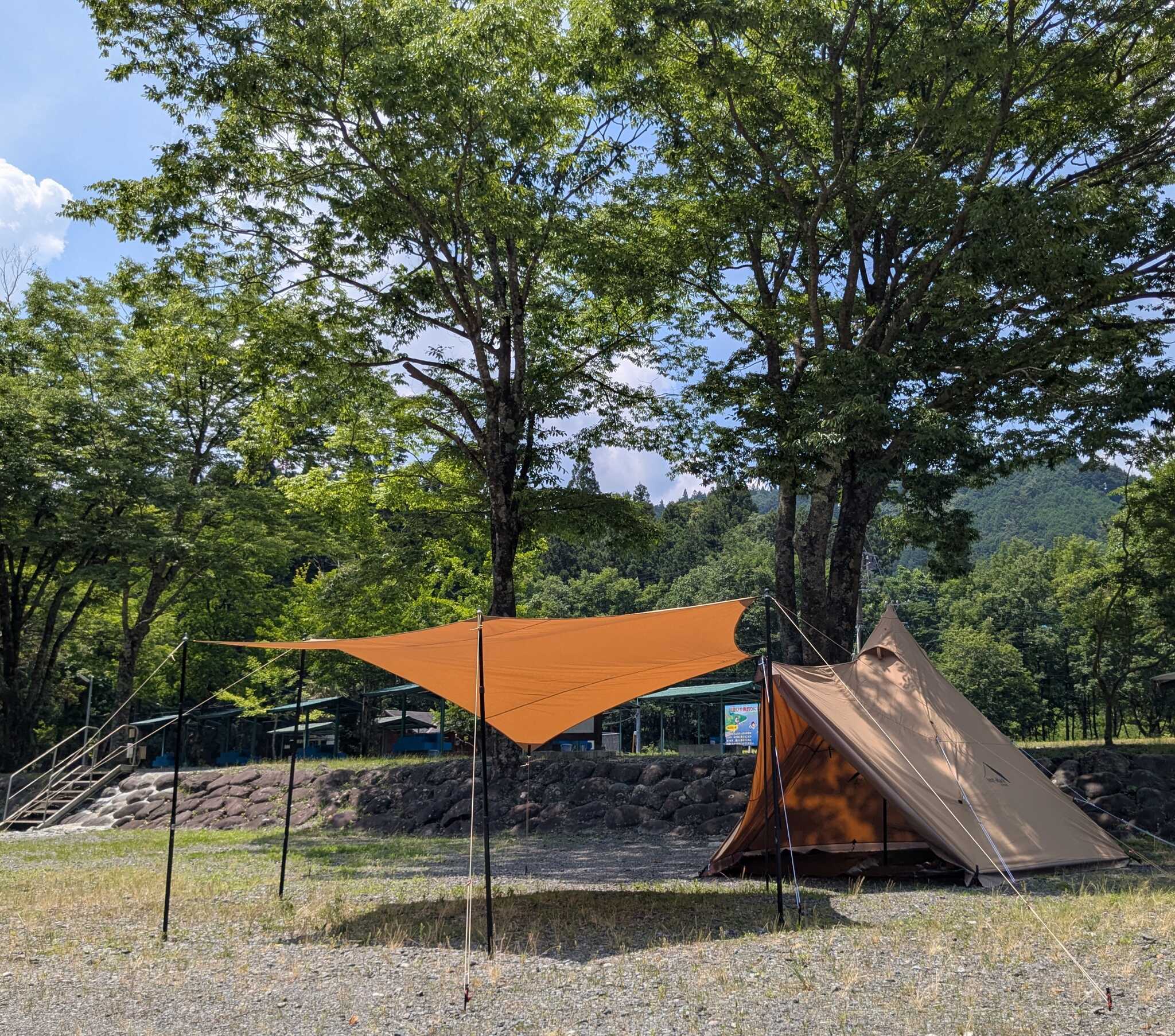 6月の状況