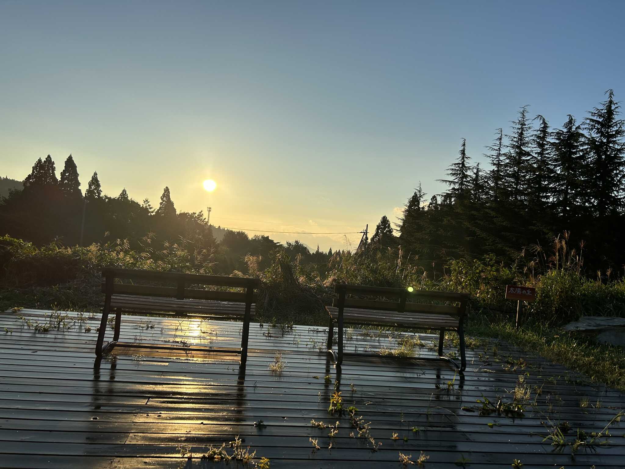 日の出がきれいでした。