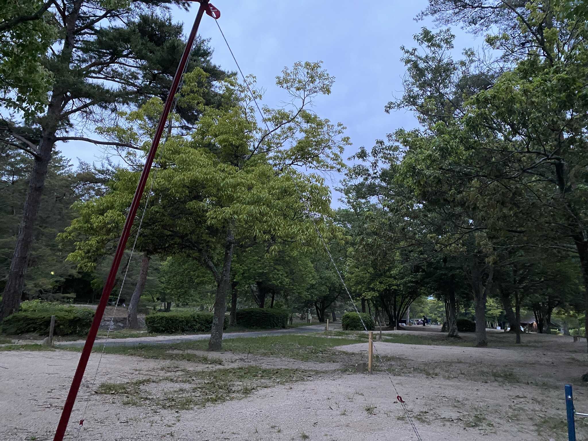 14番だったかな?5月頃
