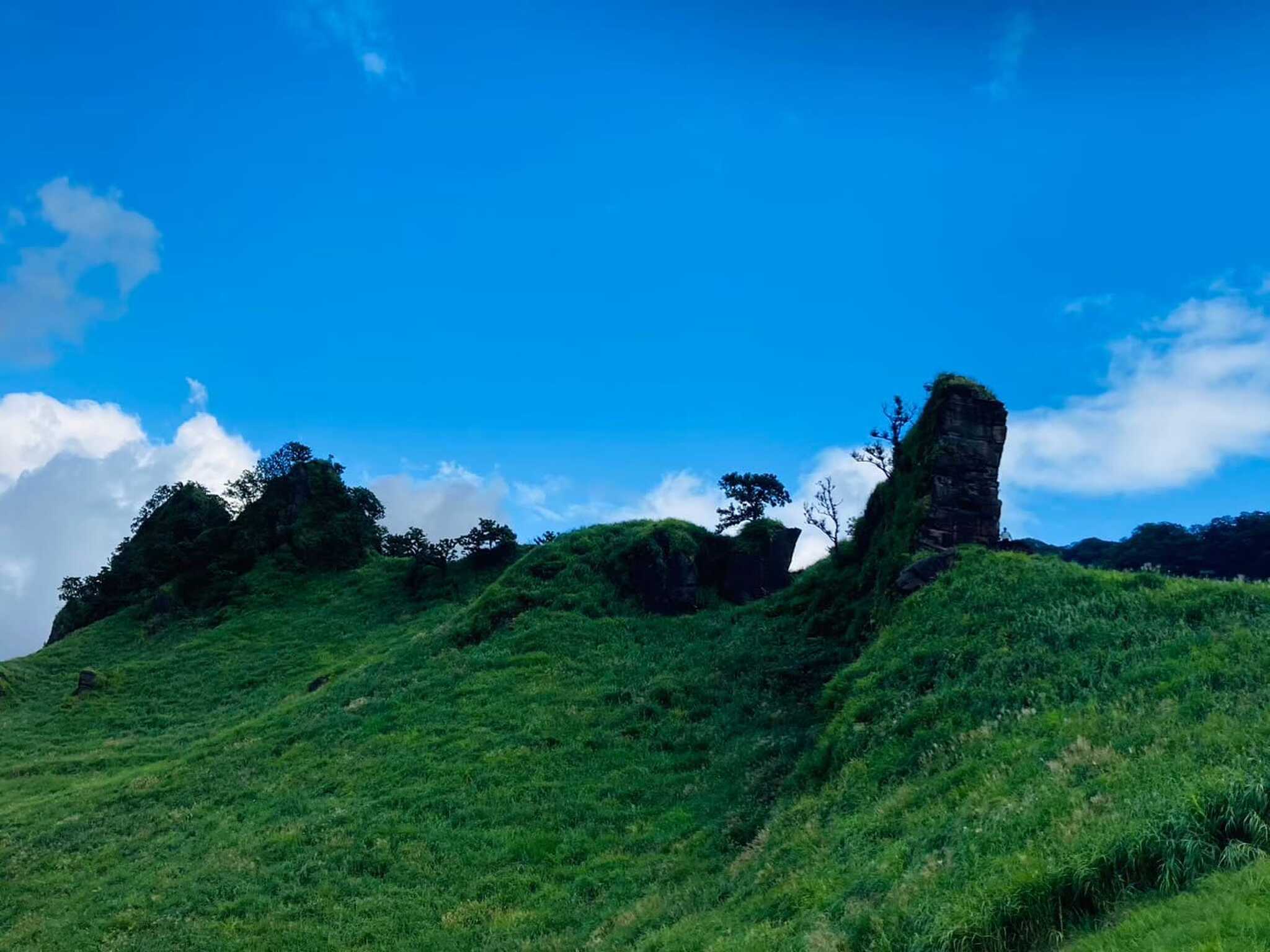 らくだ山2(スケール伝われ~)