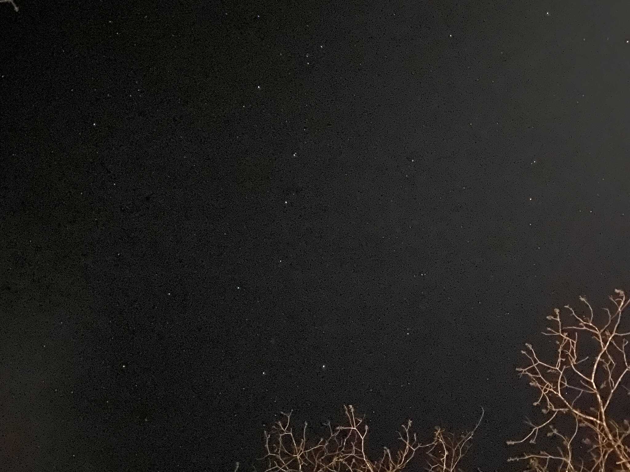 星が20時くらいから見えた