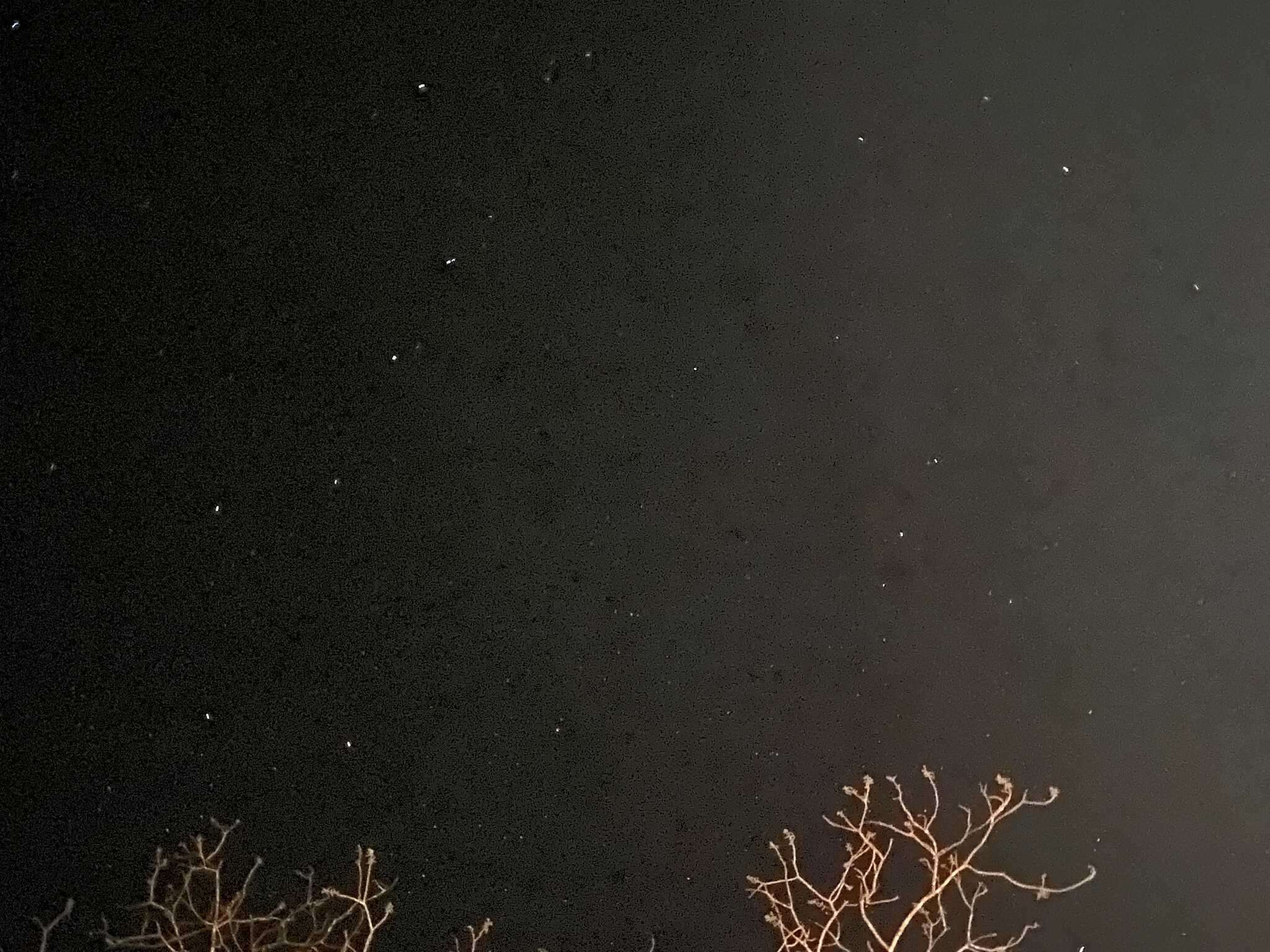 星が綺麗!
