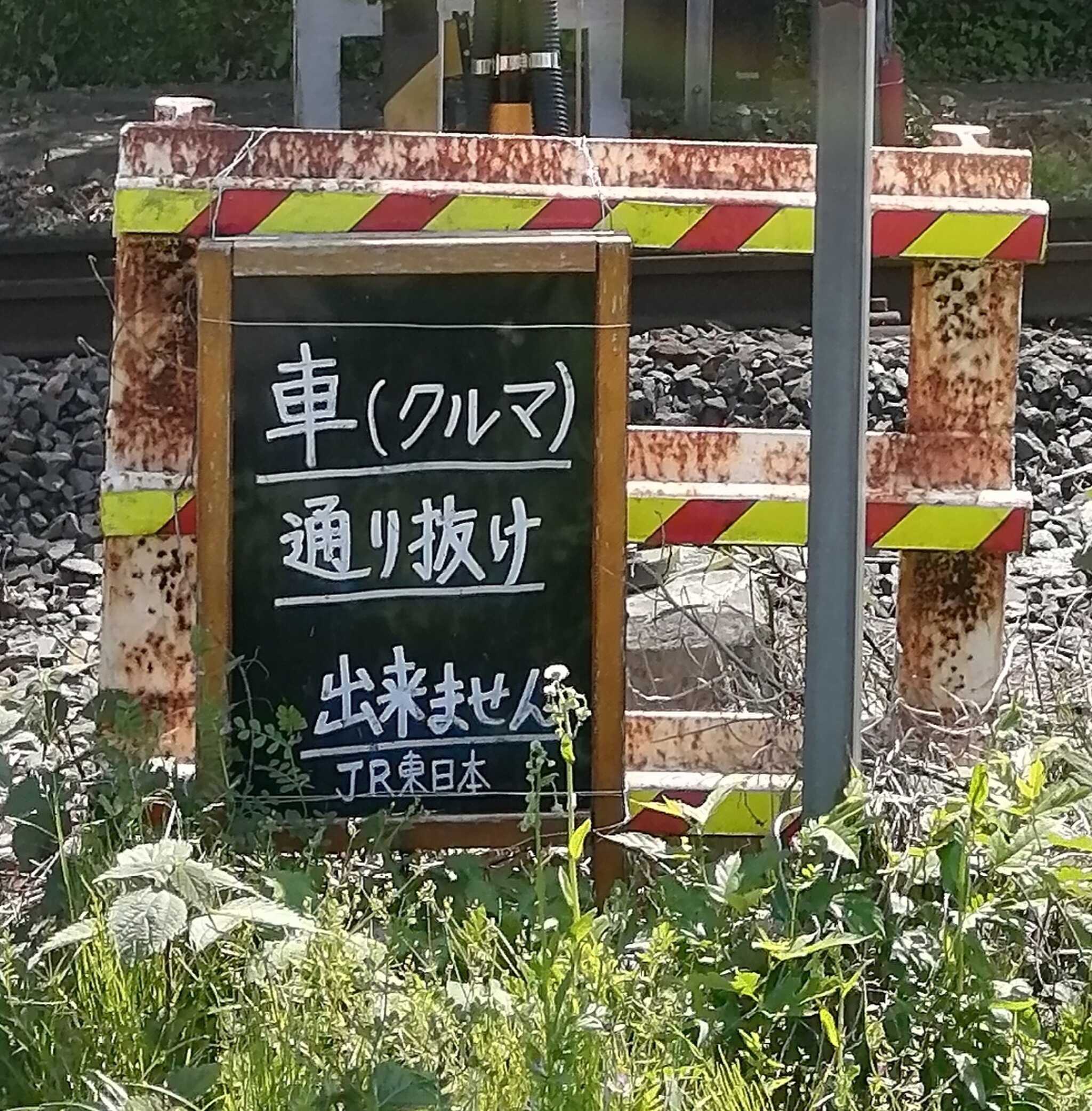Out Tail Dog Camp 館山の口コミ投稿写真