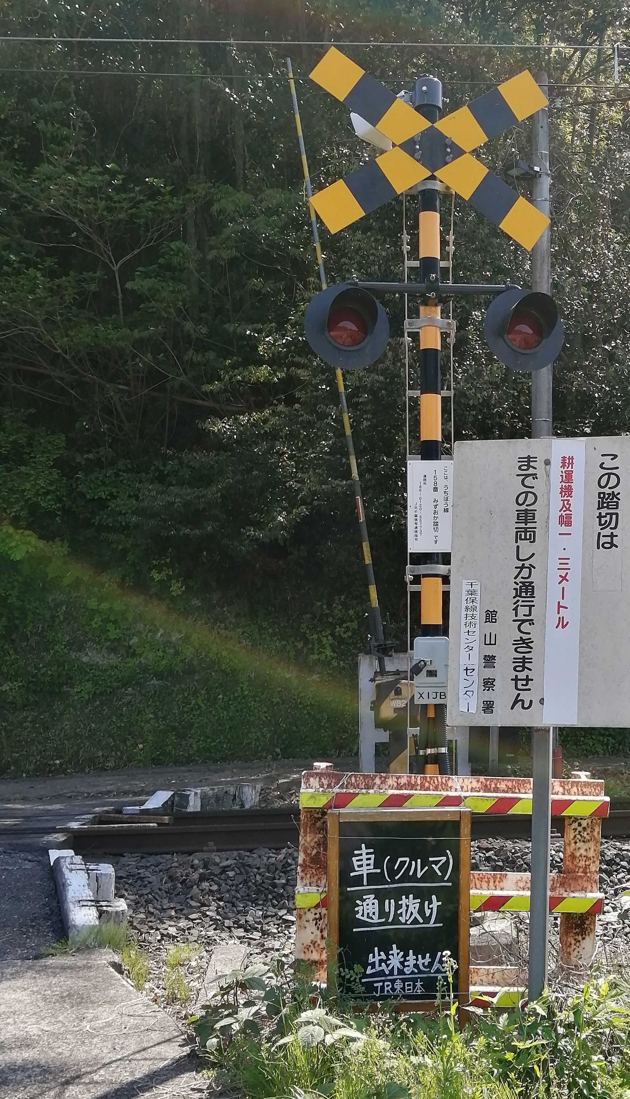 Out Tail Dog Camp 館山の口コミ投稿写真