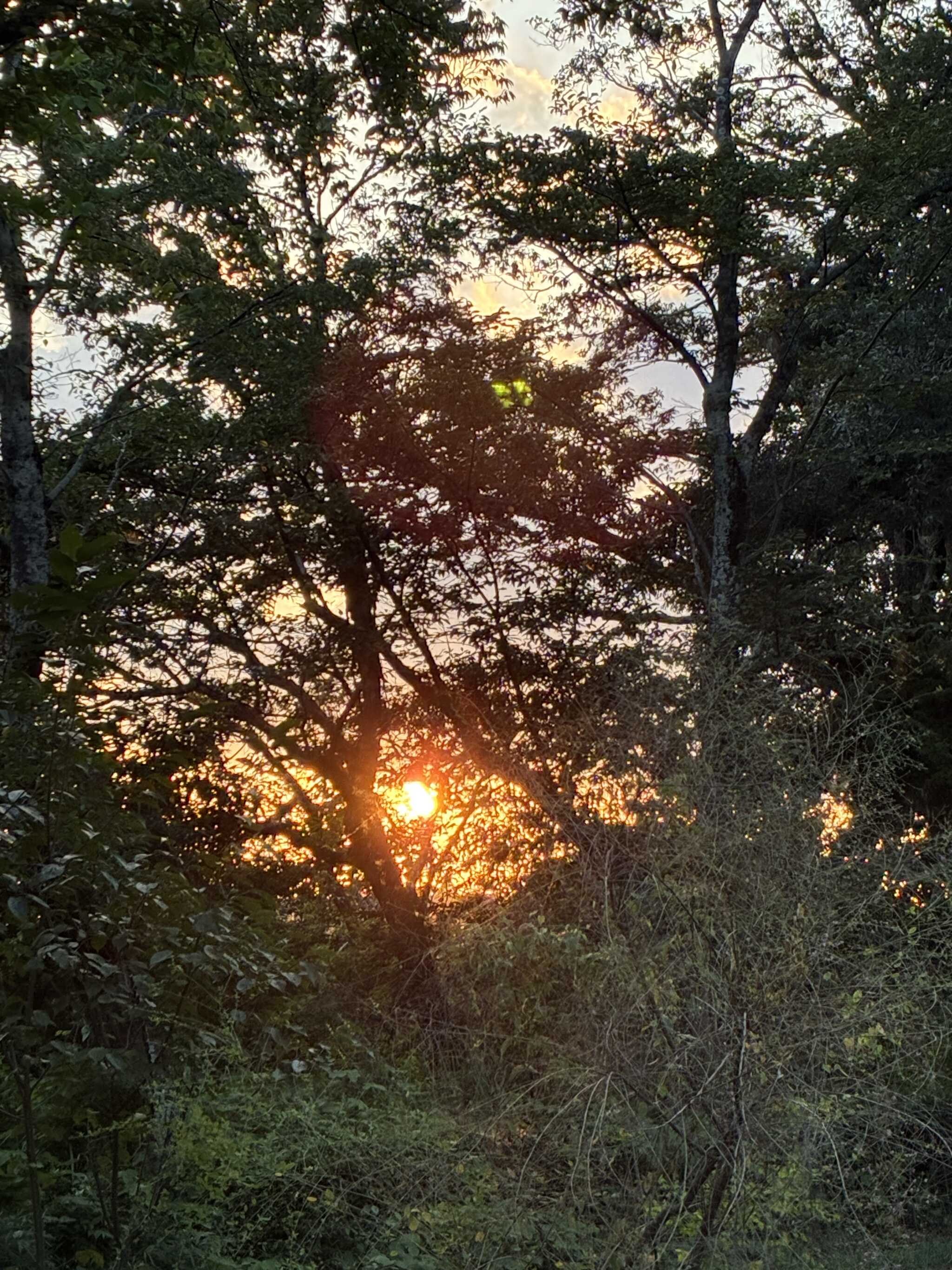 夕陽〜この時間帯が好きです〜