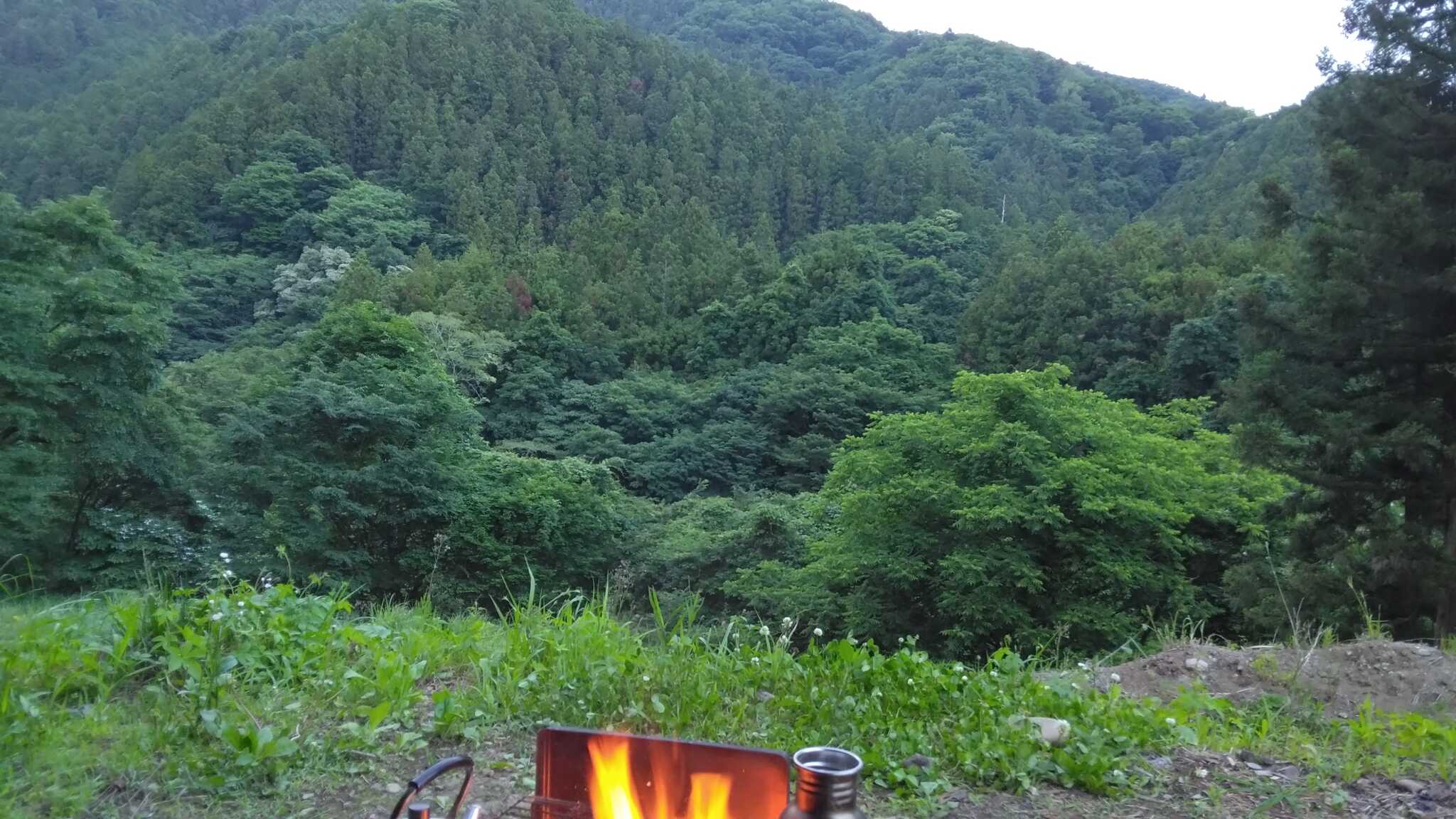 サイトからの景観