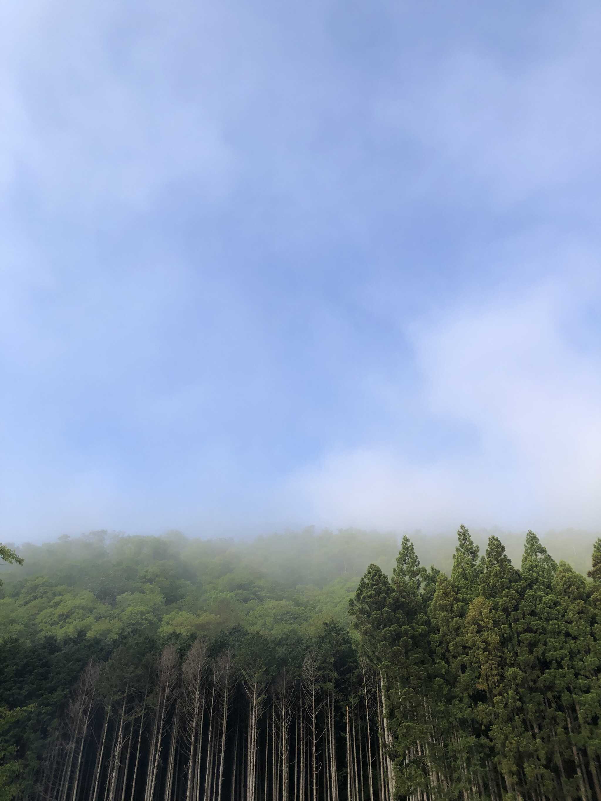 朝の風景