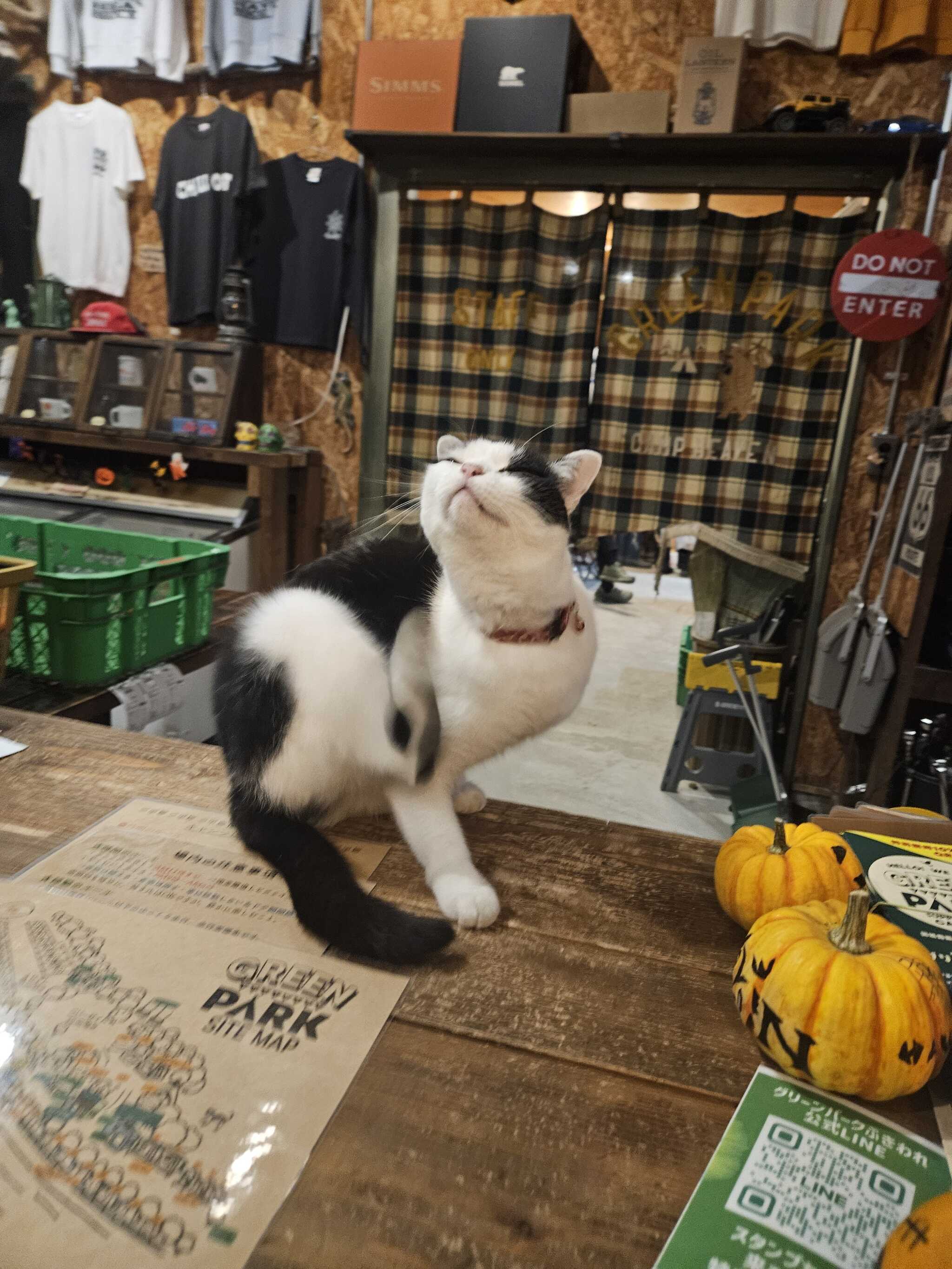 おしょう(*^^*)