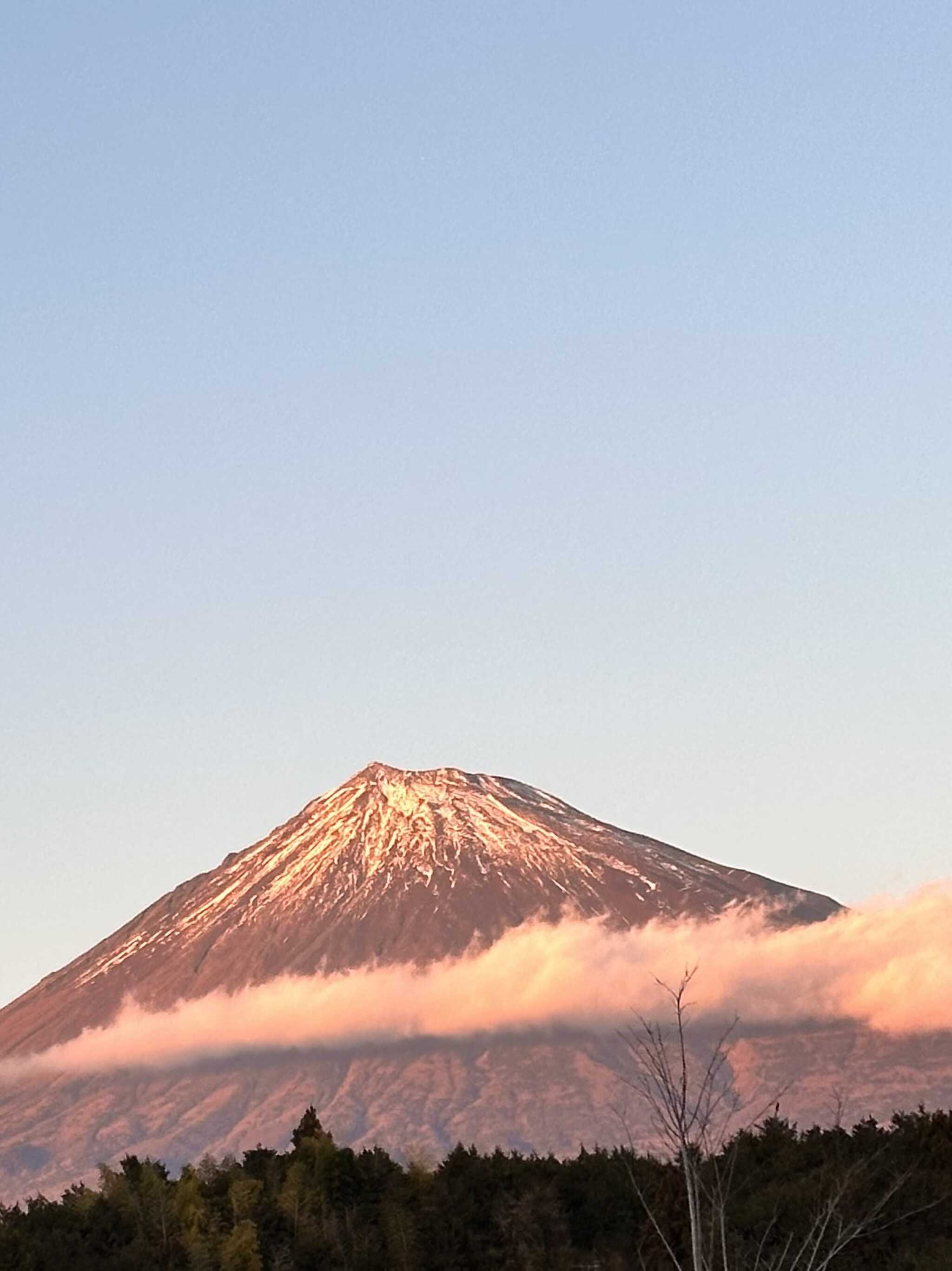 サイトからの富士山!