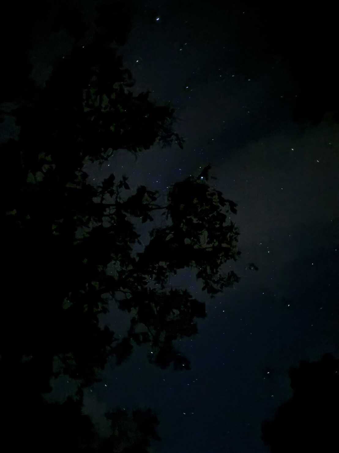 満点の星空‼︎‼︎