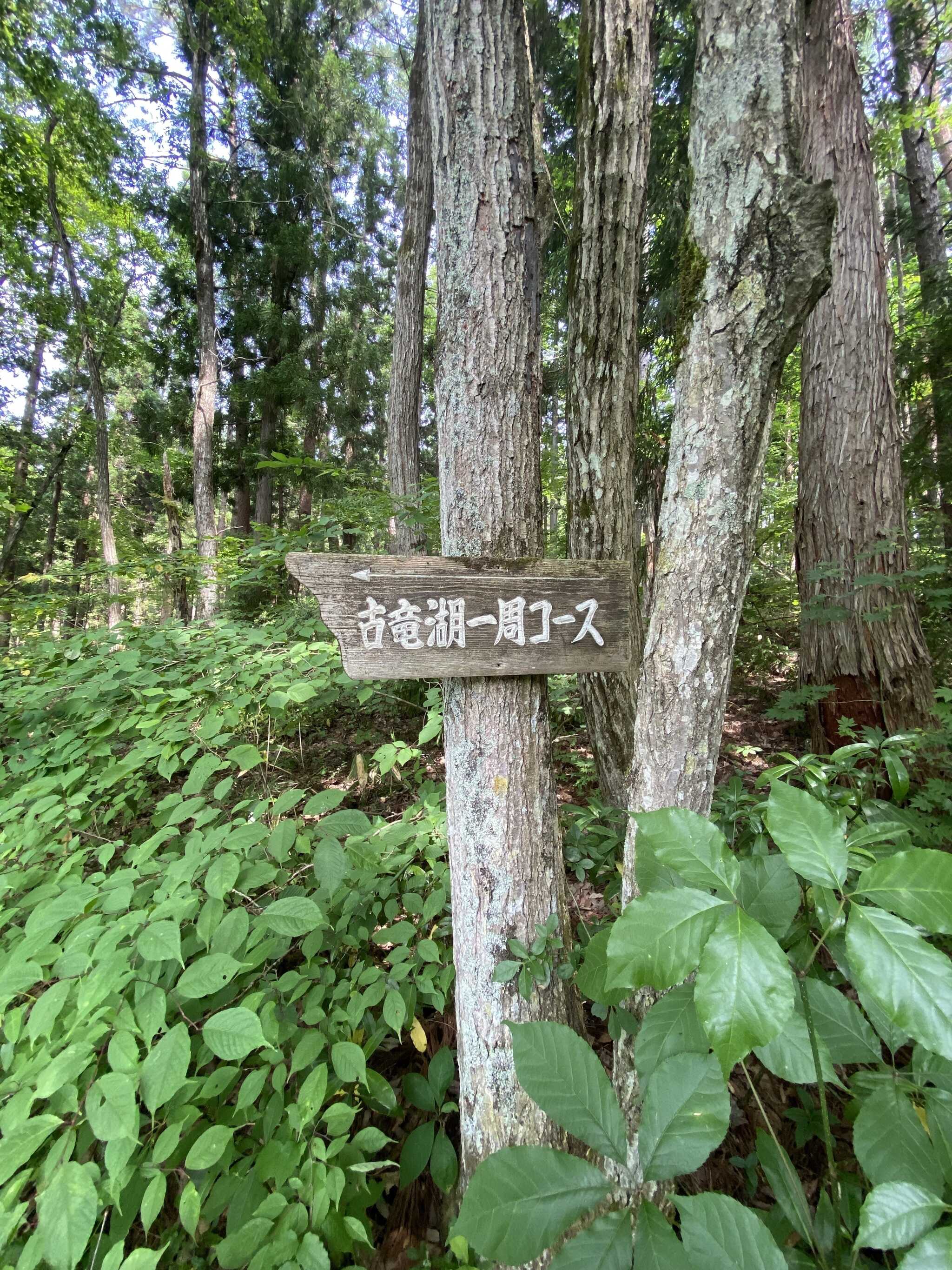 古竜湖キャンプ場の写真 2枚目