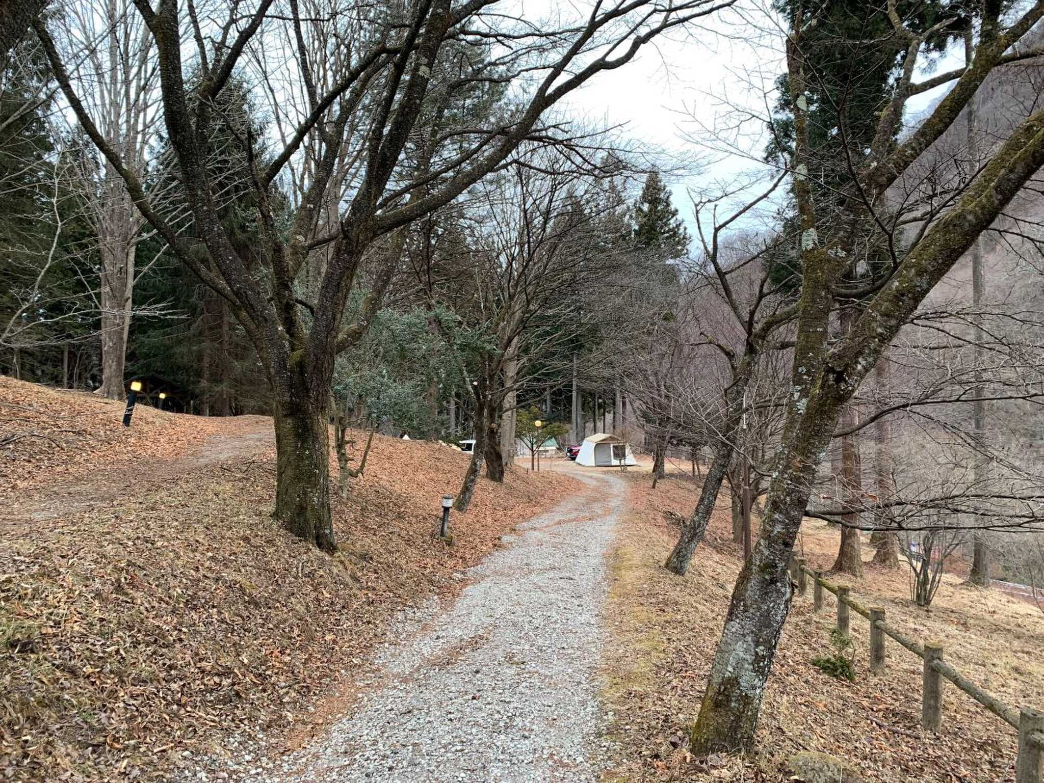 本館までの道路
