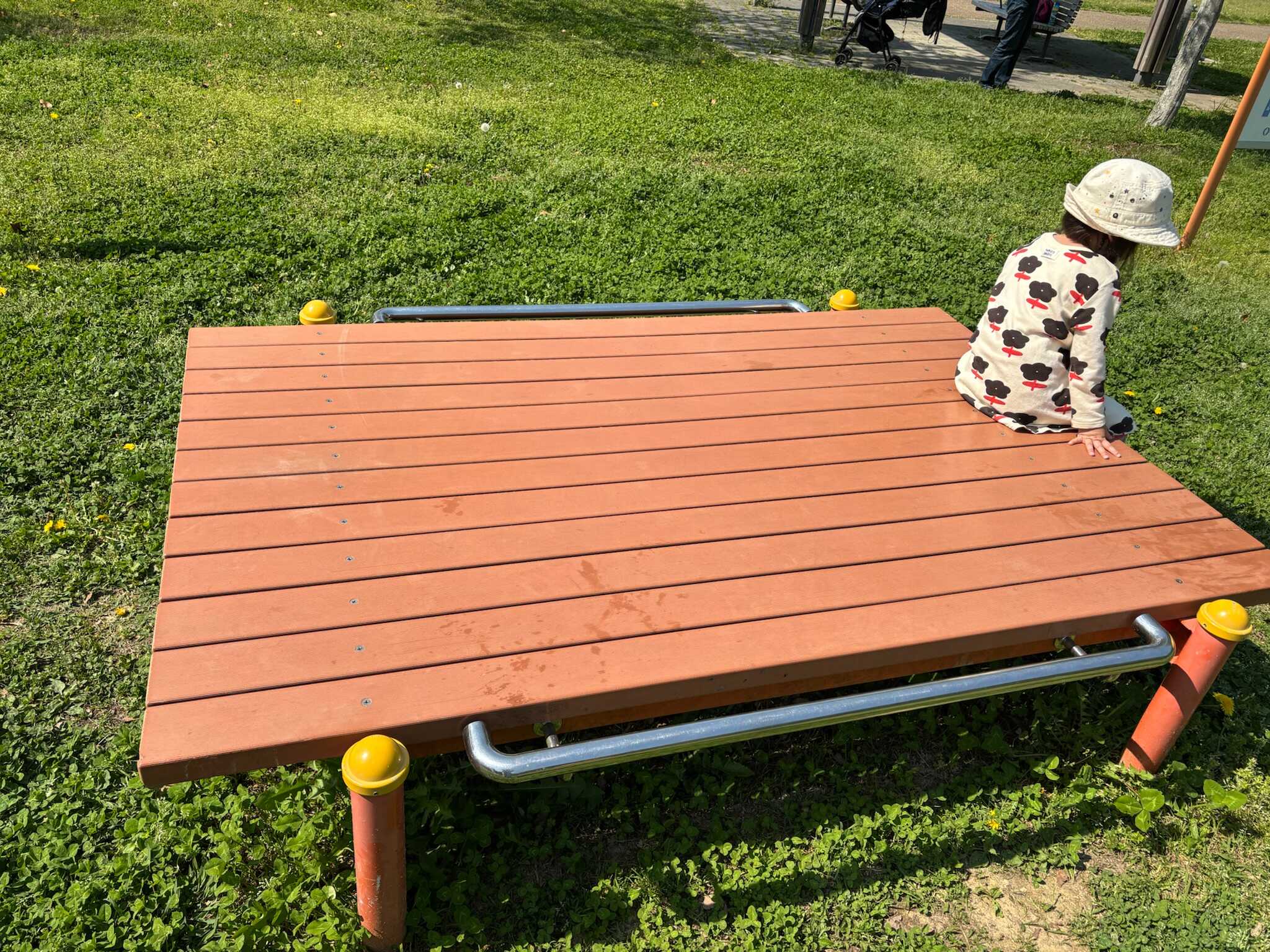 健康遊具がいくつかありました