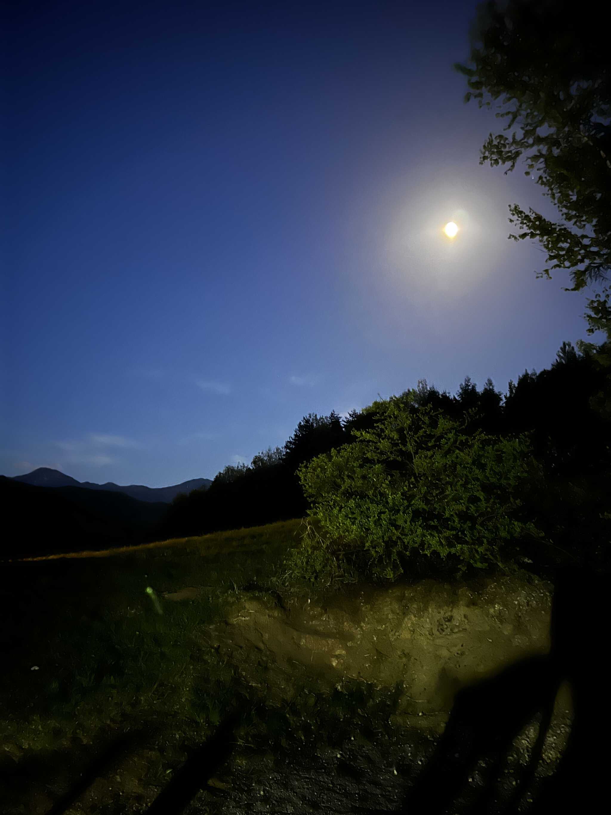 夜は月がきれいに見えます!