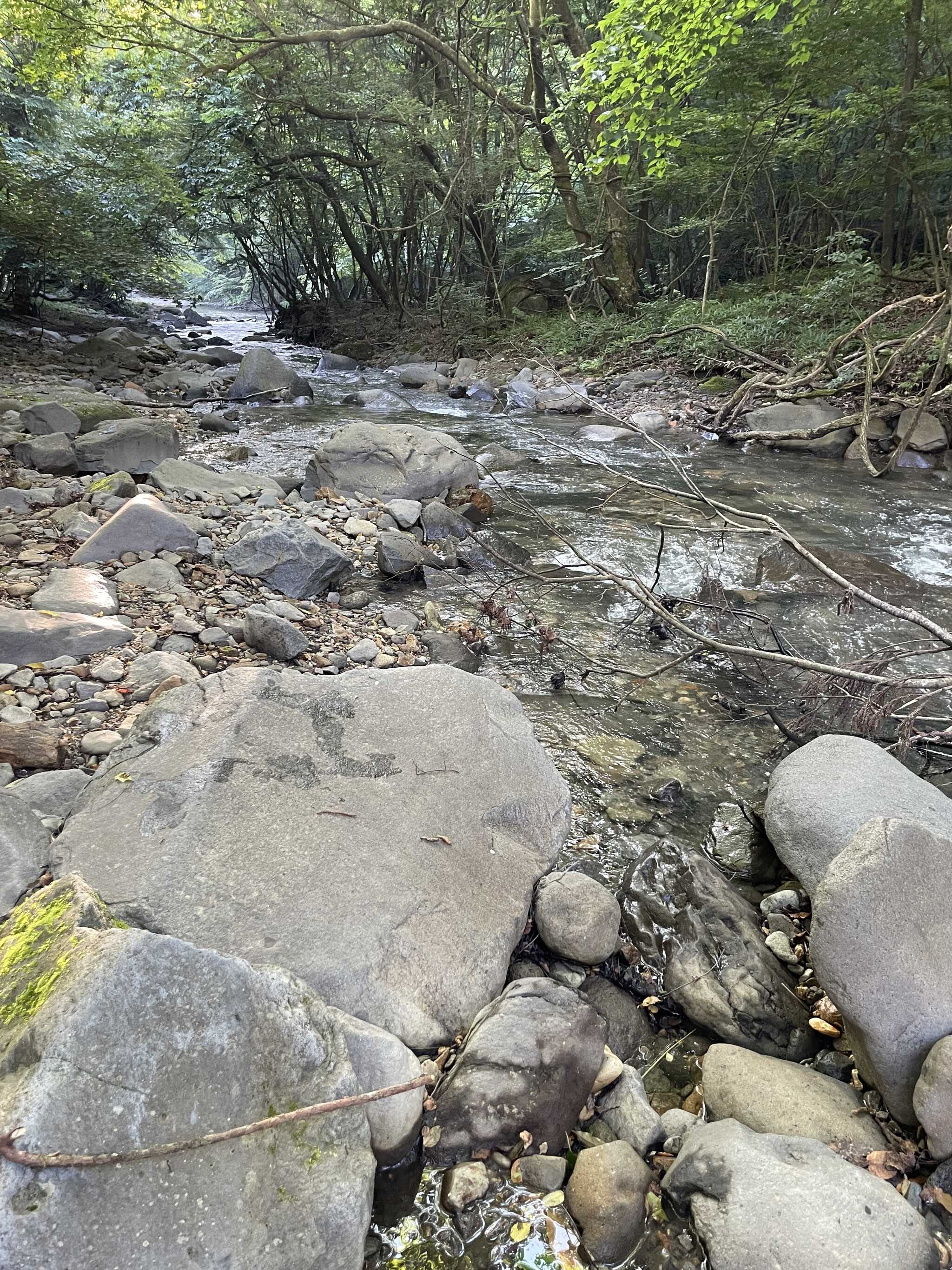 川の上流 岩があり、いくらか急流や深いところもあります