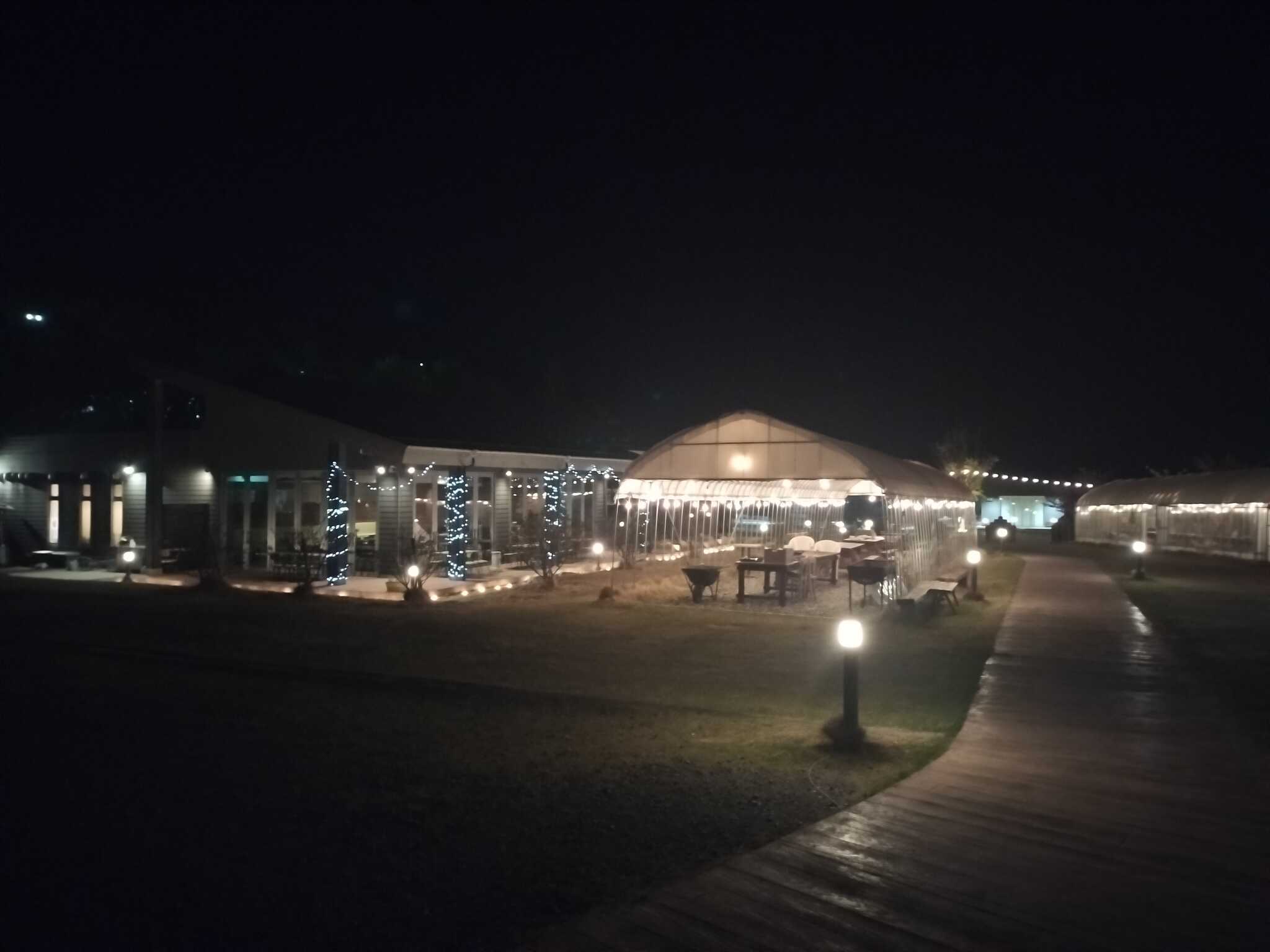 夜