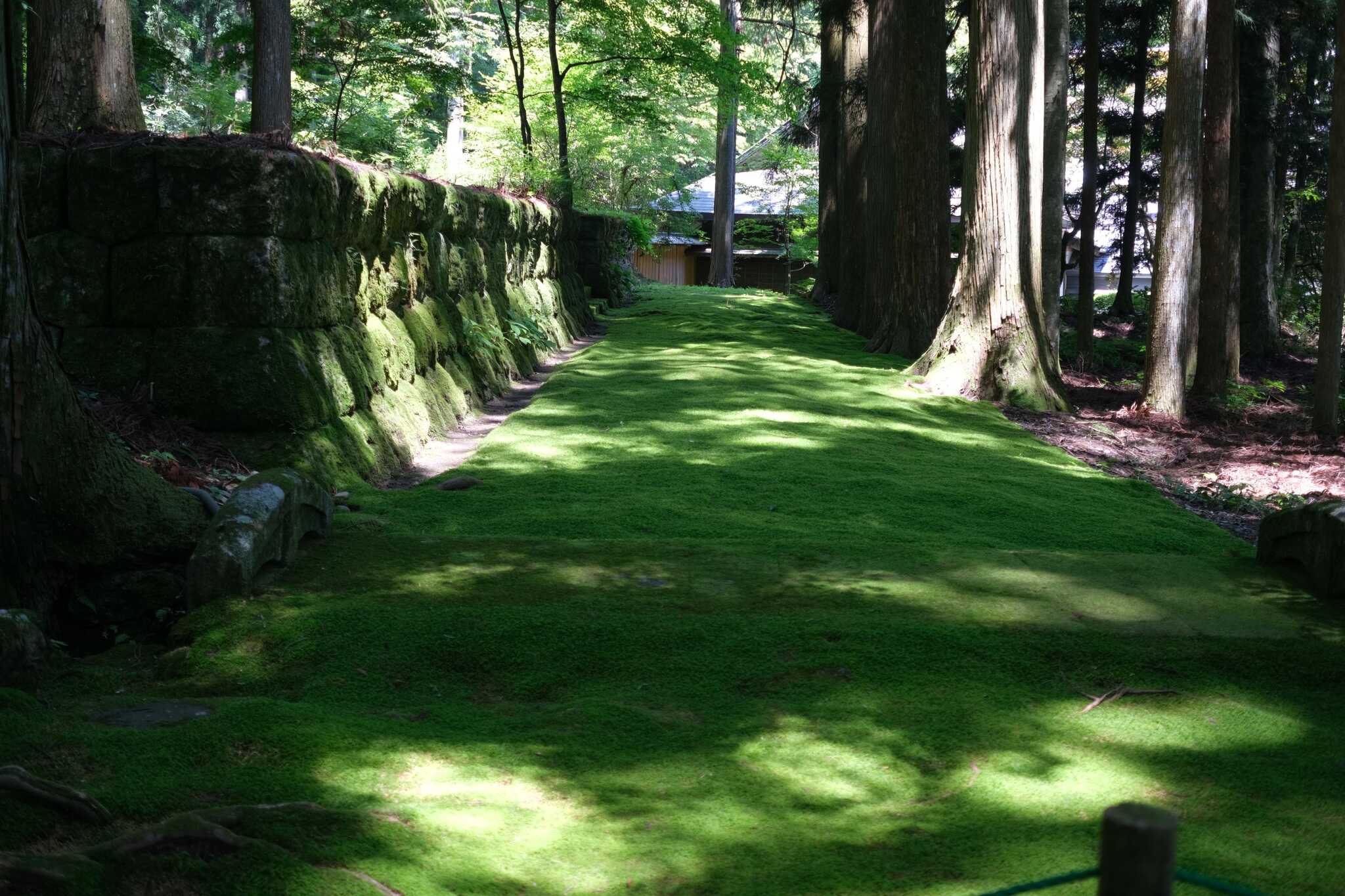 光前寺 苔の古道