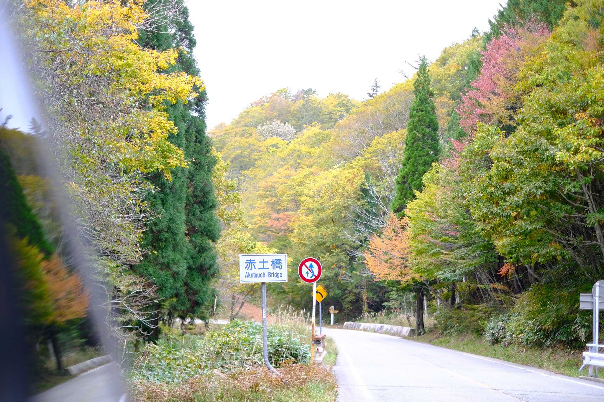 せせらぎ街道の紅葉風景(10月終り頃)