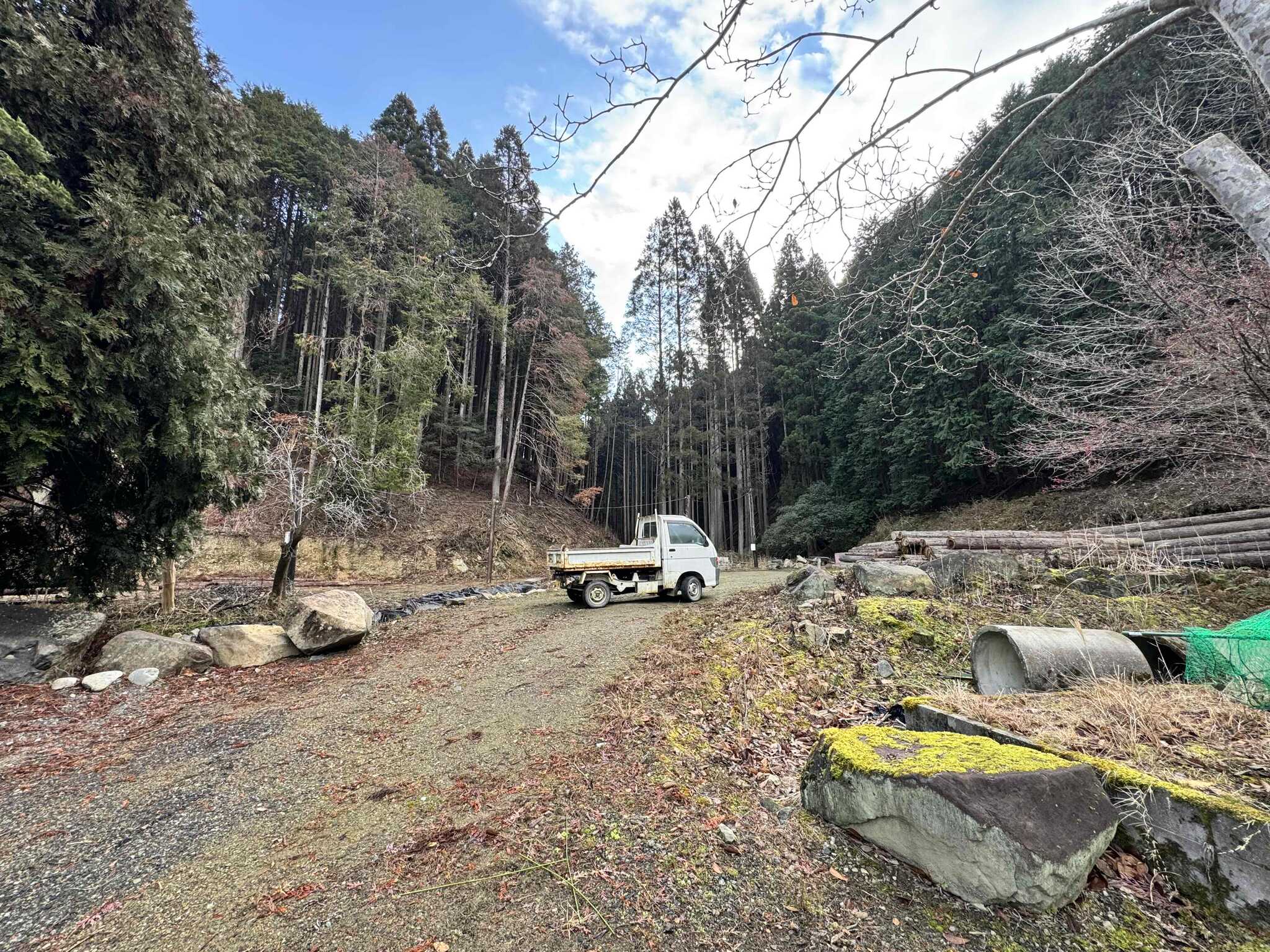 裏山を開墾中だそうです。
