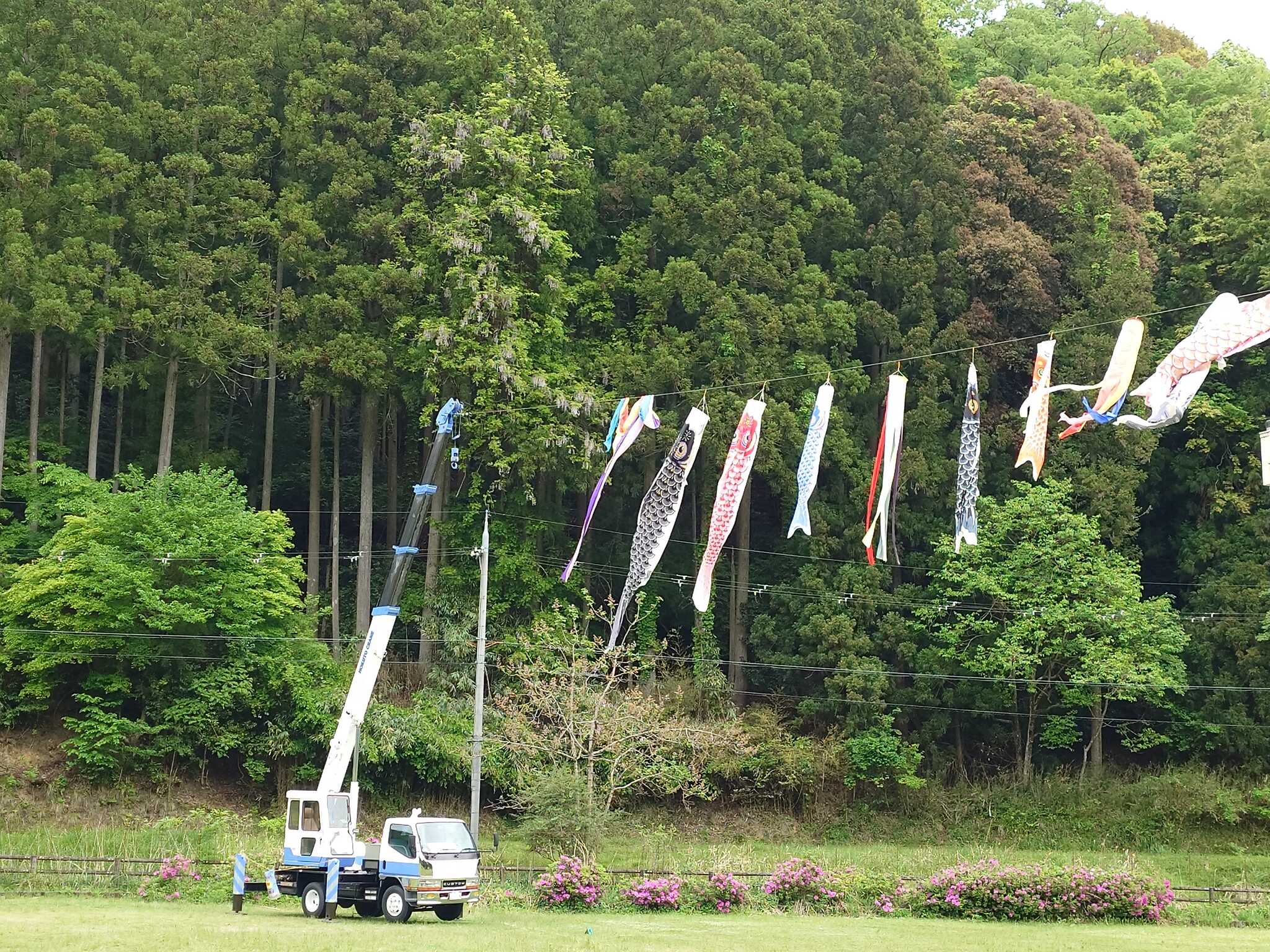 GWはたくさんの鯉のぼり