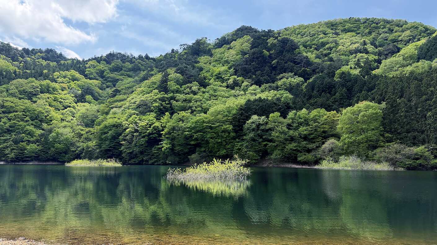 湖畔風景