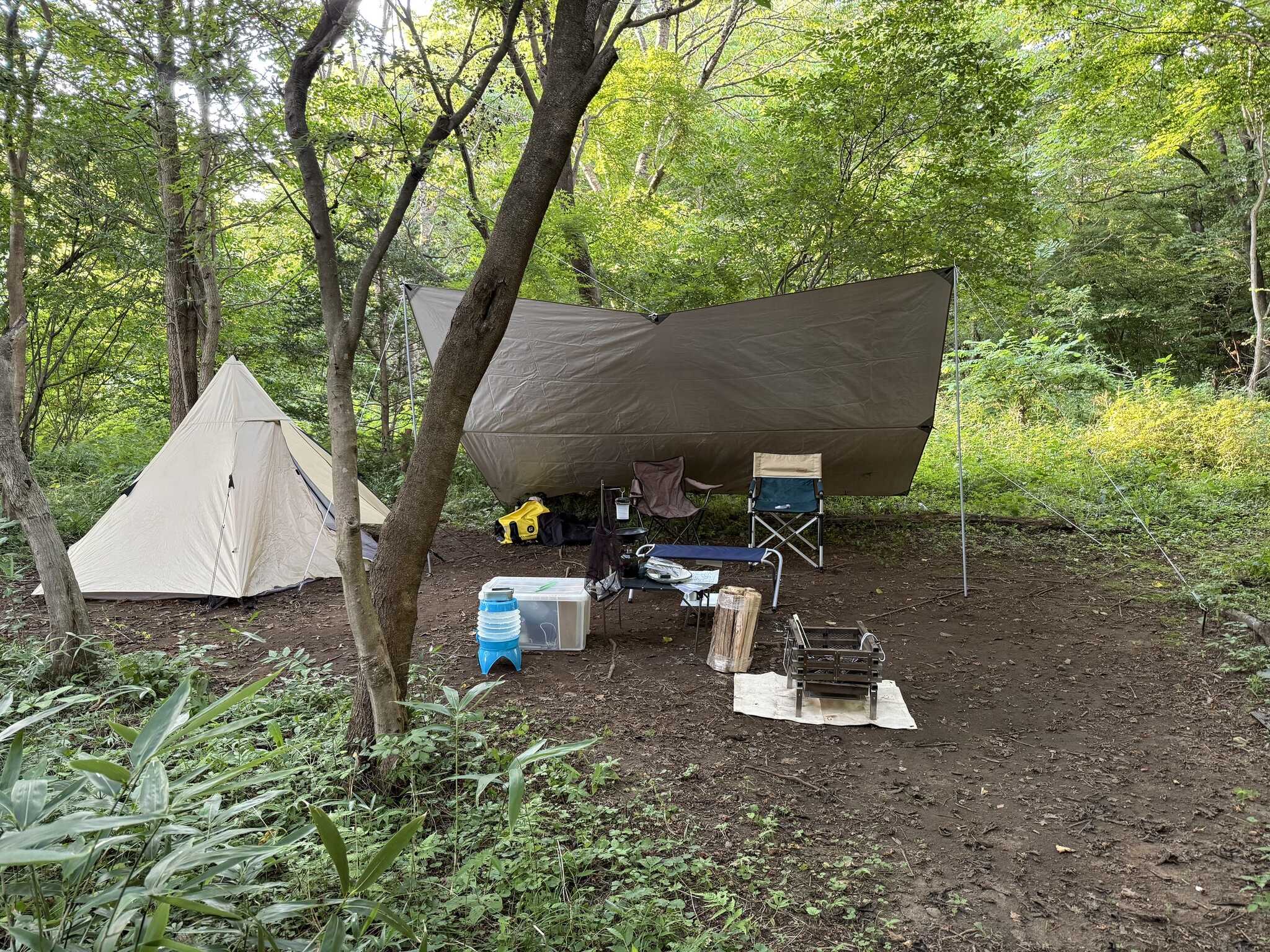 のびのびキャンプができます
