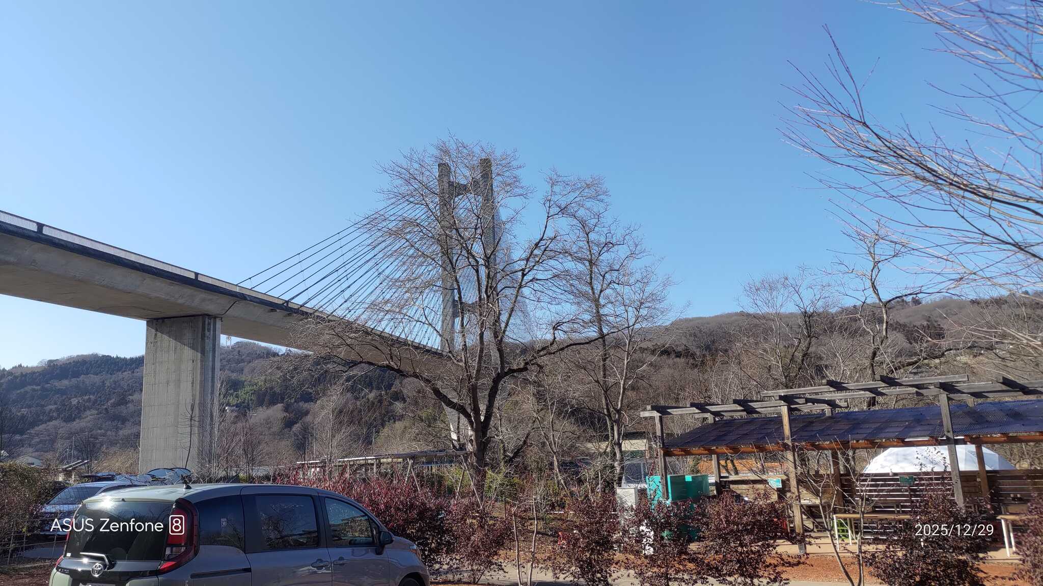 大橋の下です