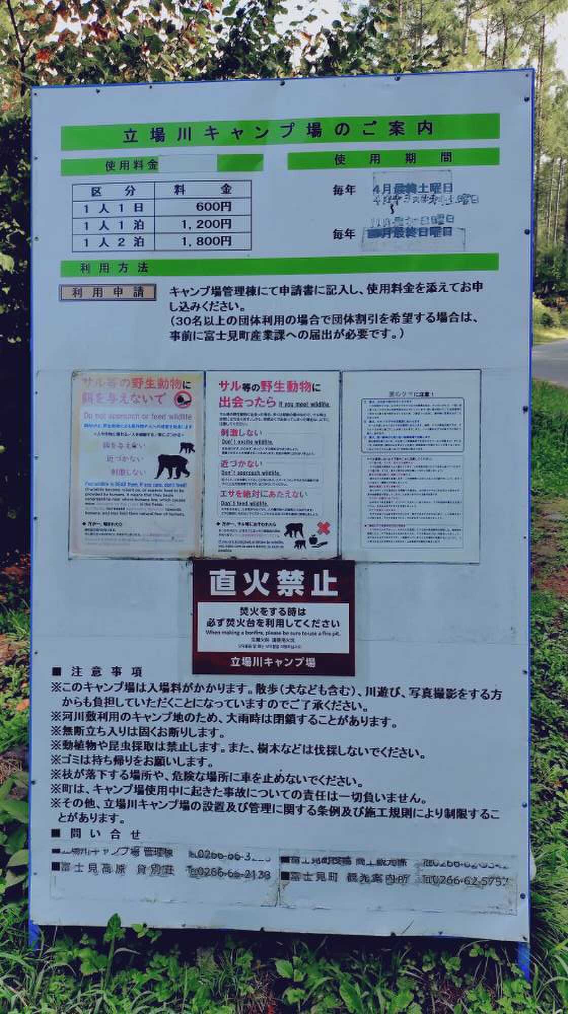 立場川キャンプ場の写真 5枚目
