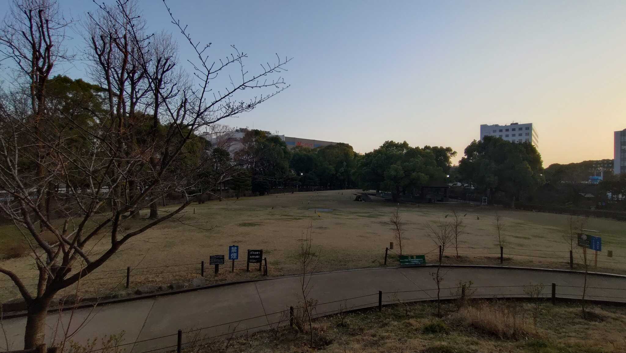 夕刻のCサイト