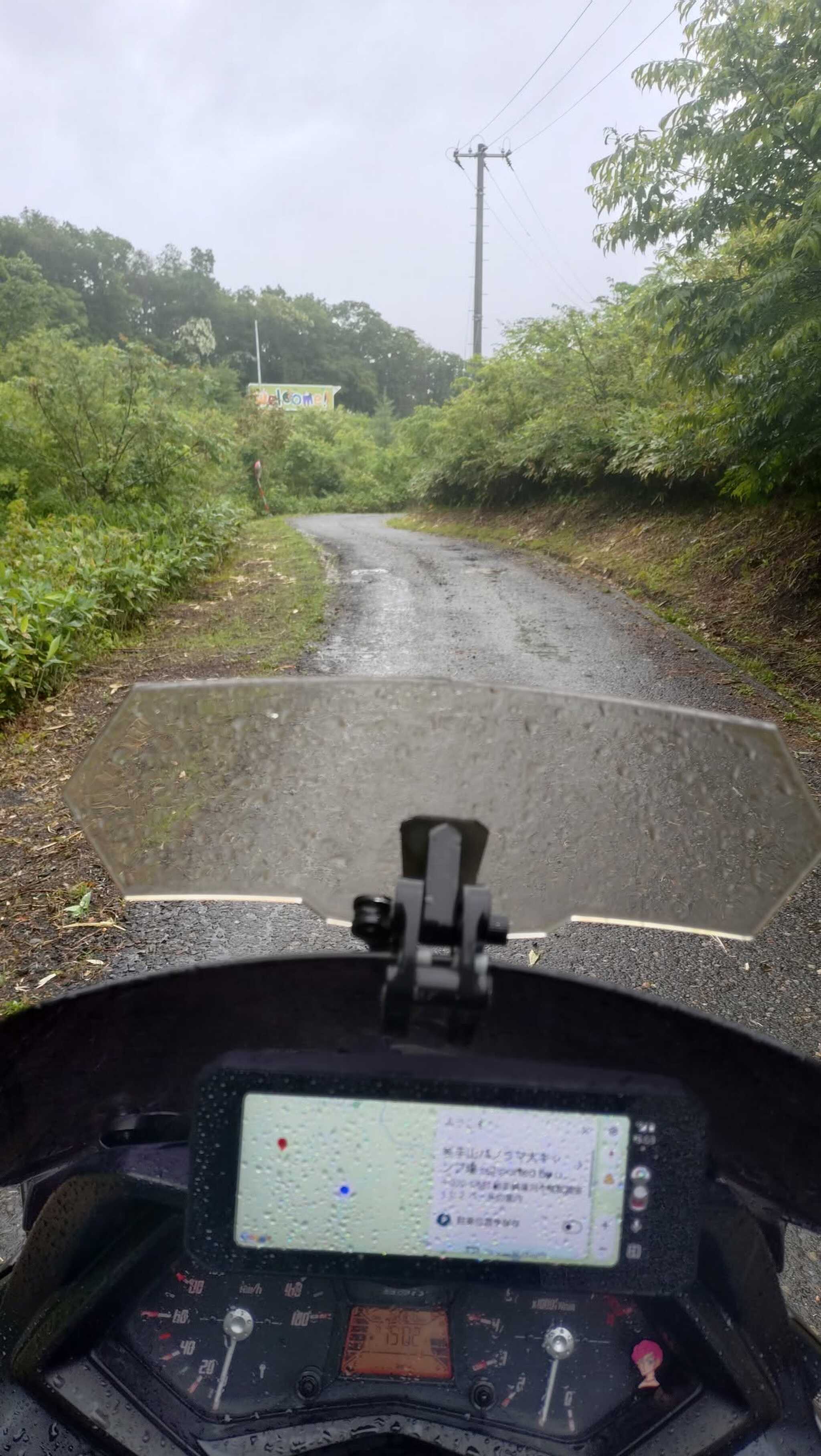キャンプ場への道