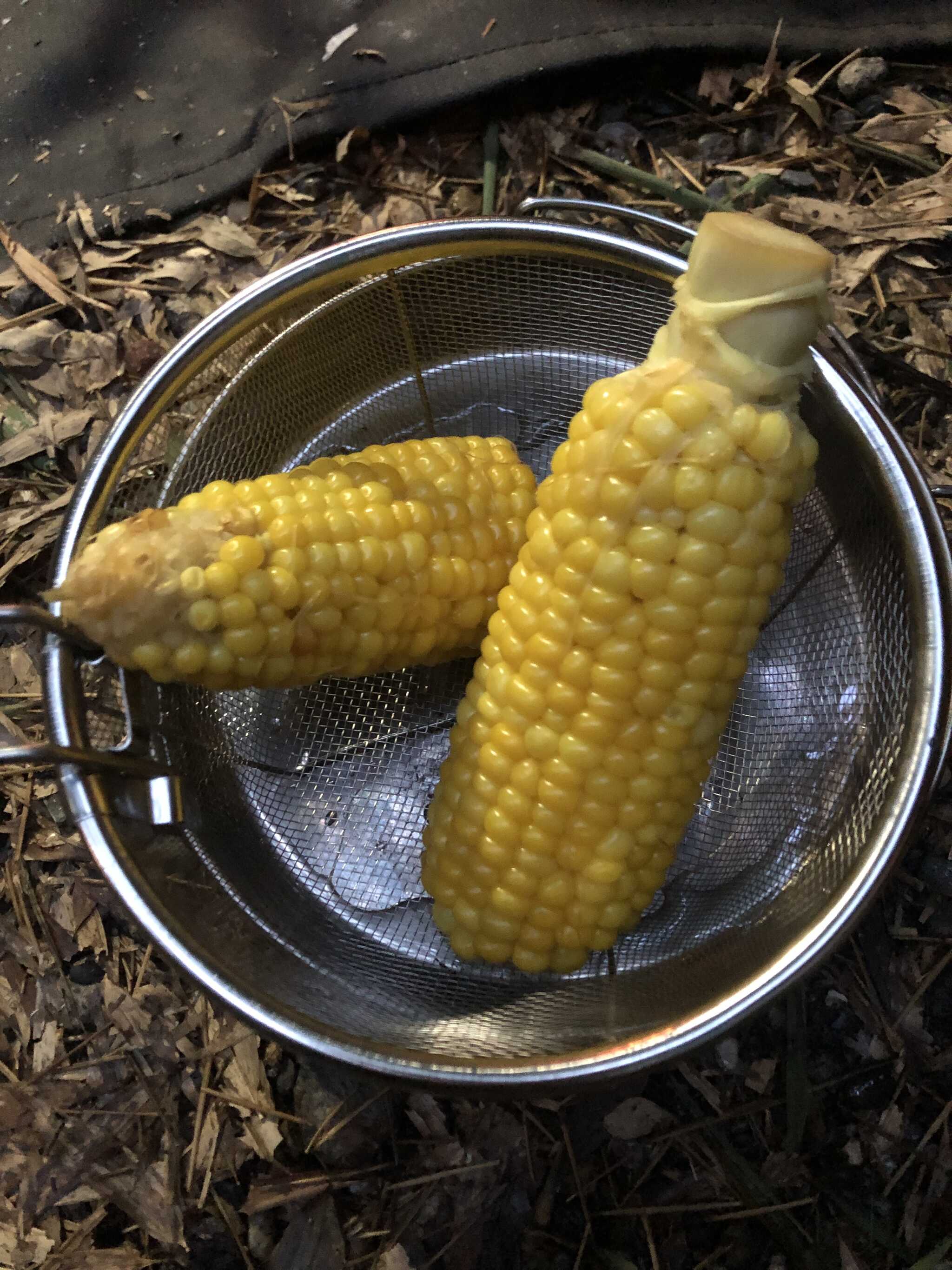 とうもろこし