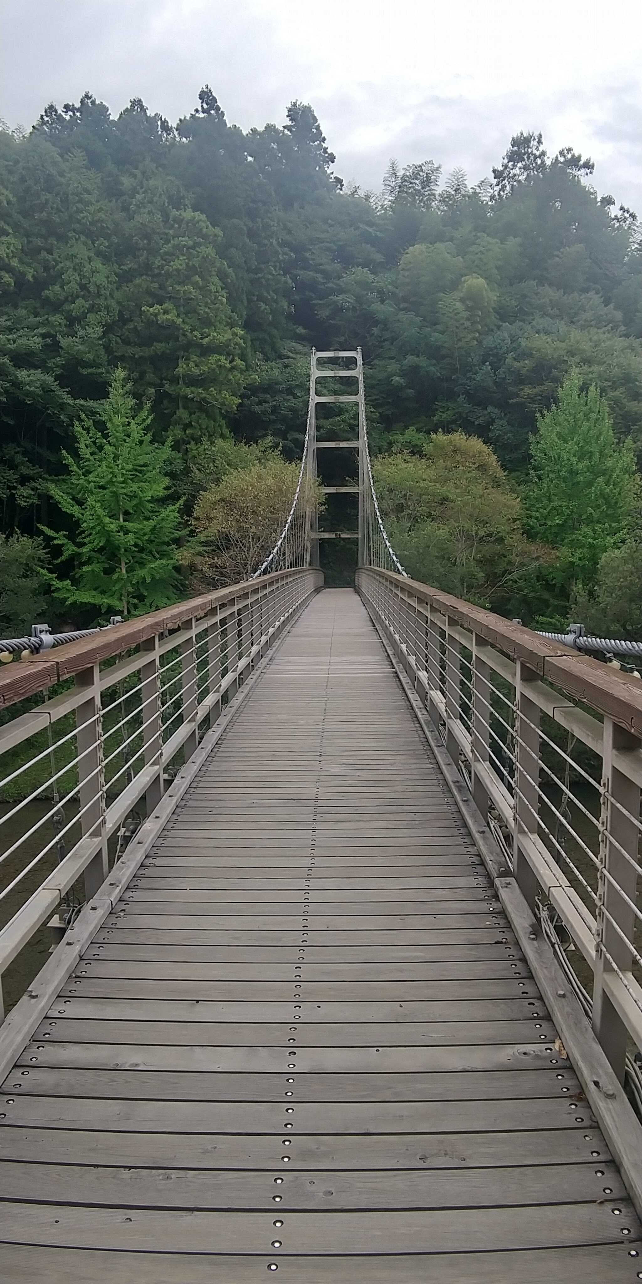 知清公園キャンプ場の写真 1枚目