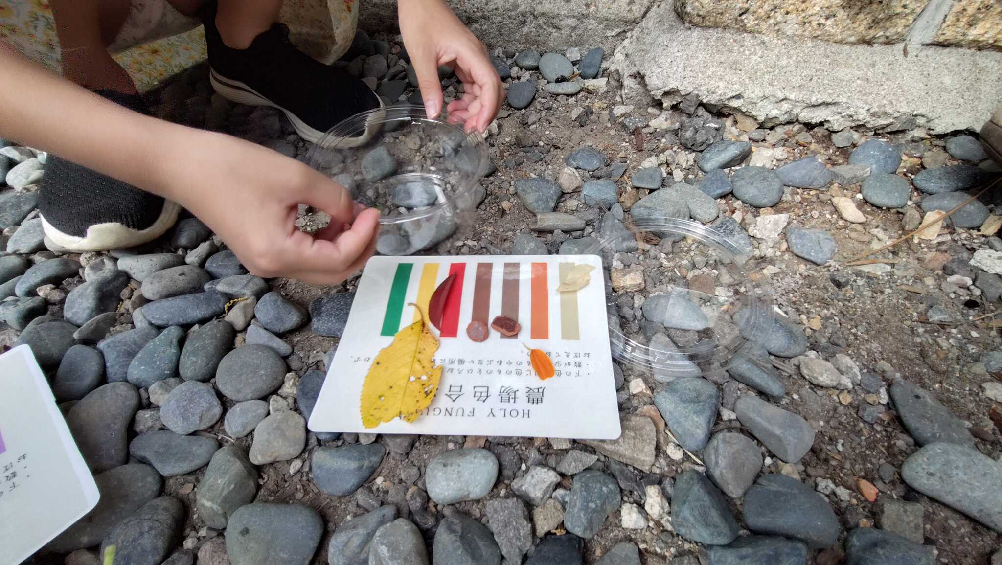 農場色合わせ