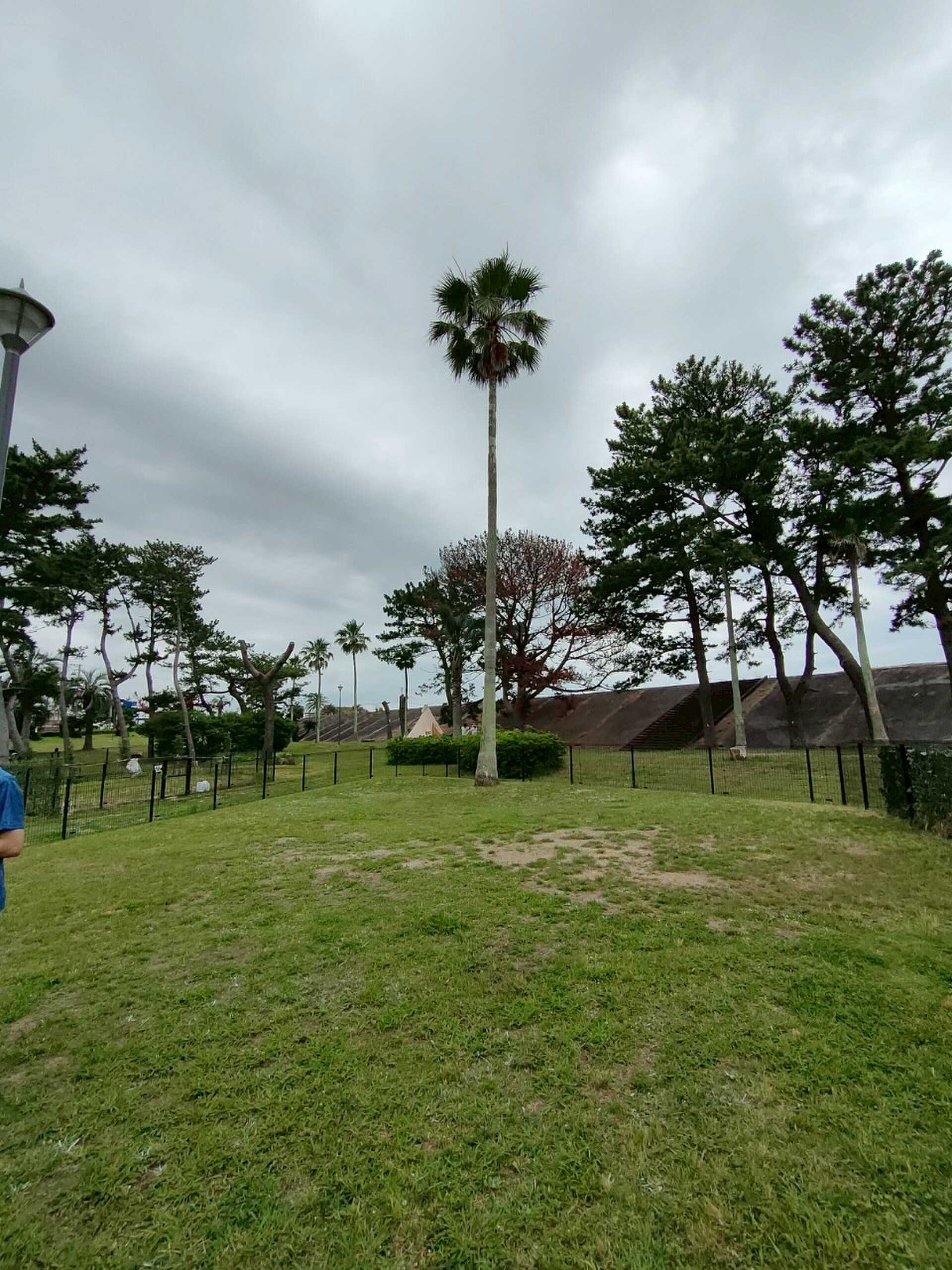南国のようなキャンプ場