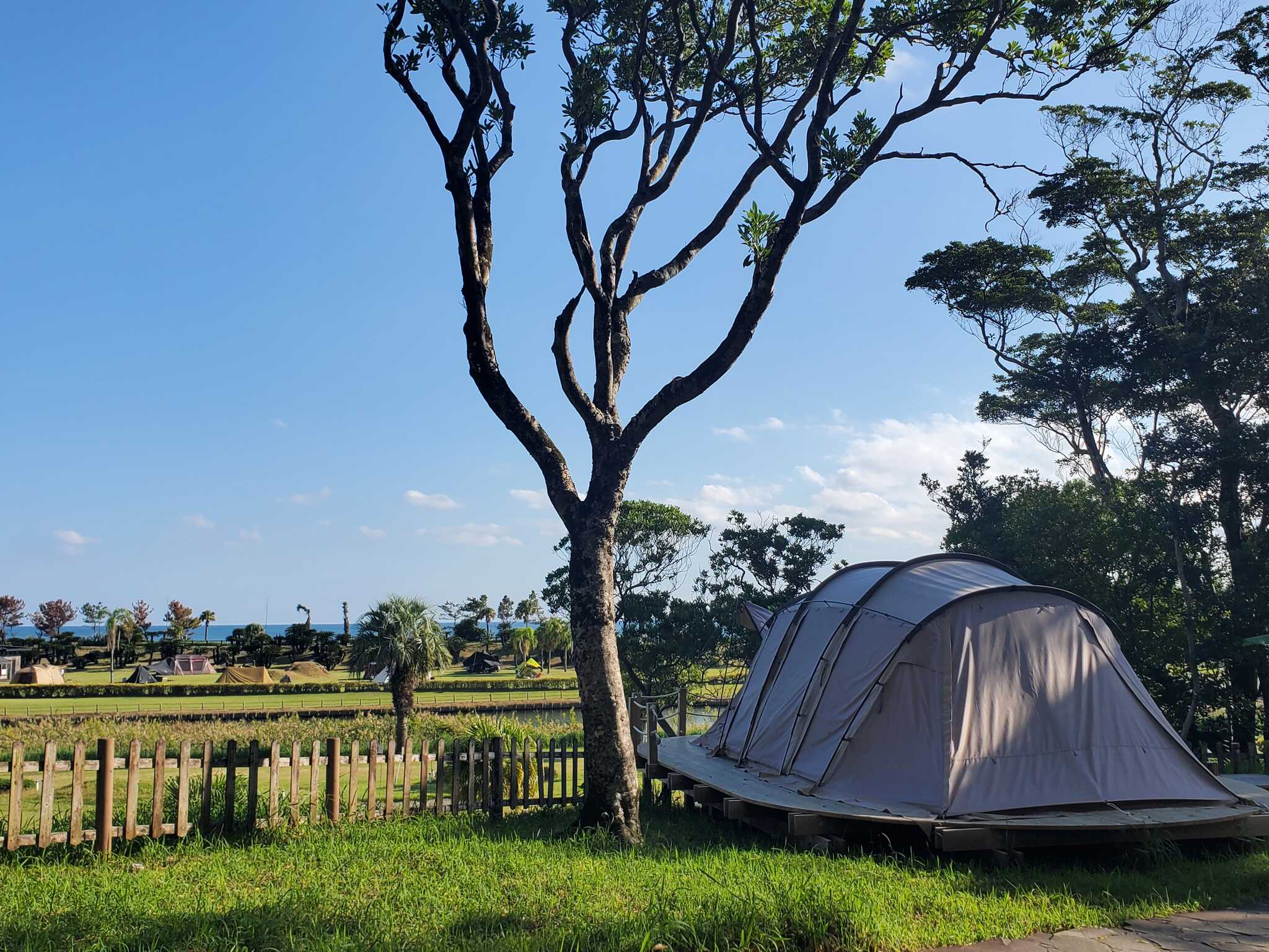 AOSHIMA PICNIC CLUB CAMPの口コミ投稿写真