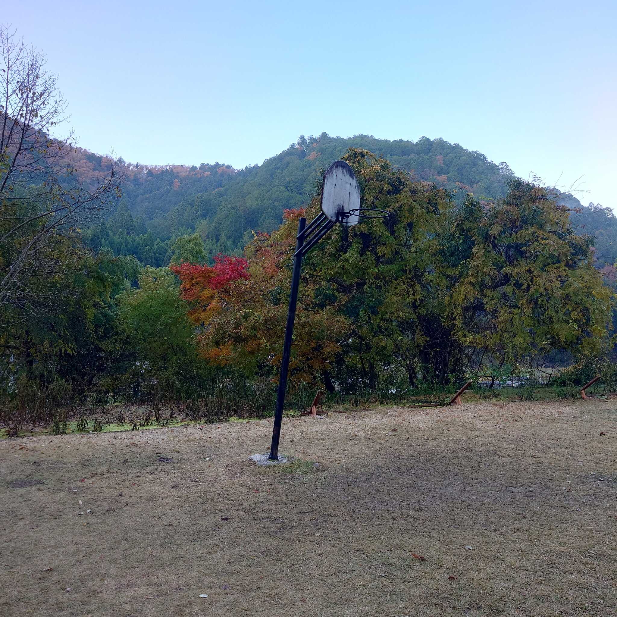 紅葉も綺麗でした