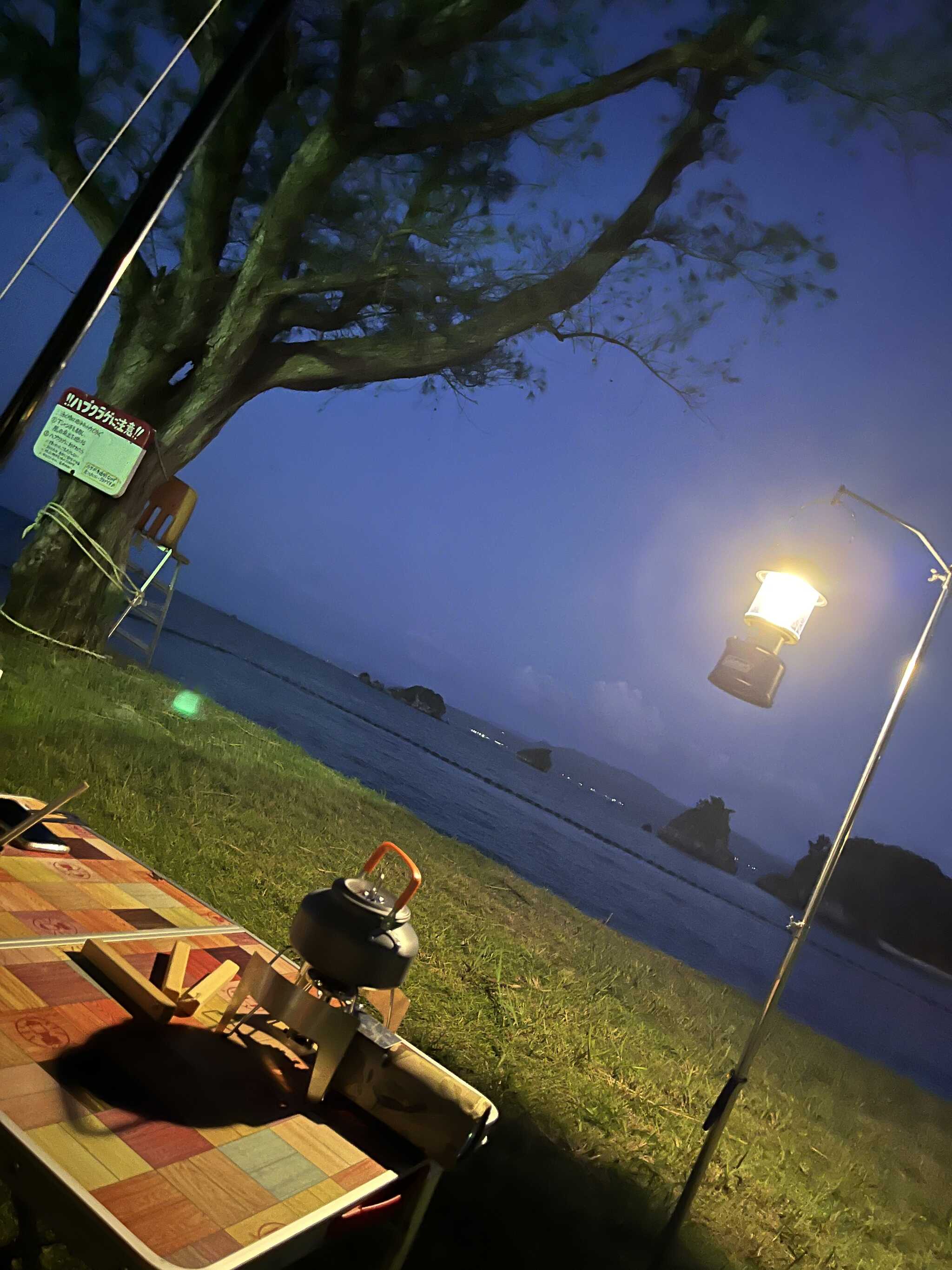 夜も海音に癒されます。