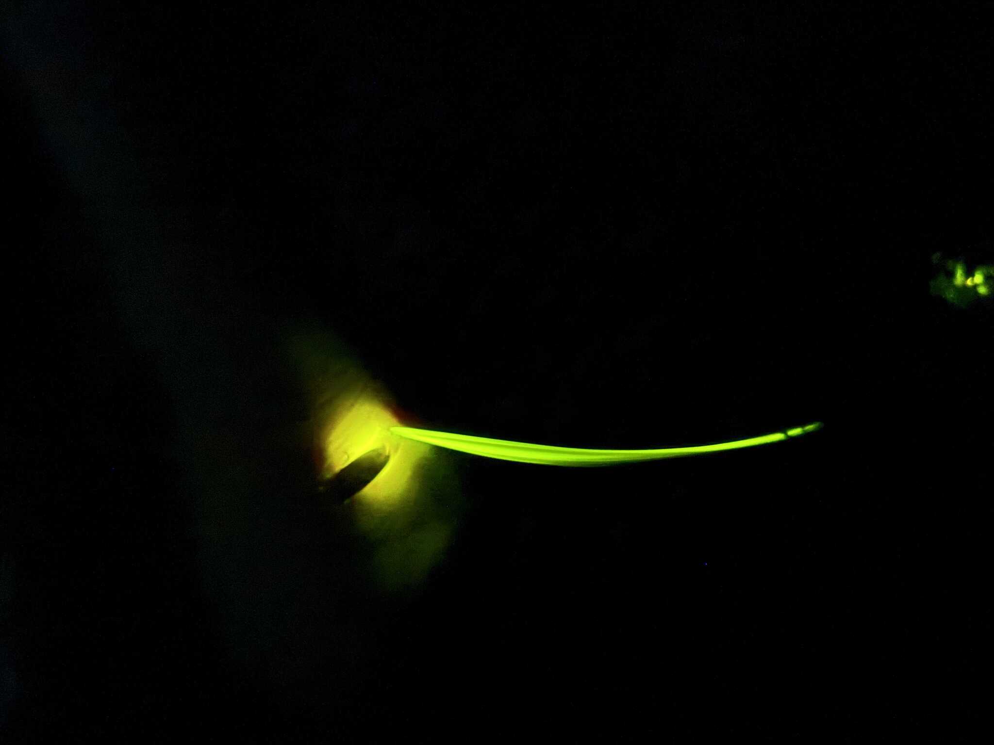 BlackSmithOutdoorfieldの写真 1枚目