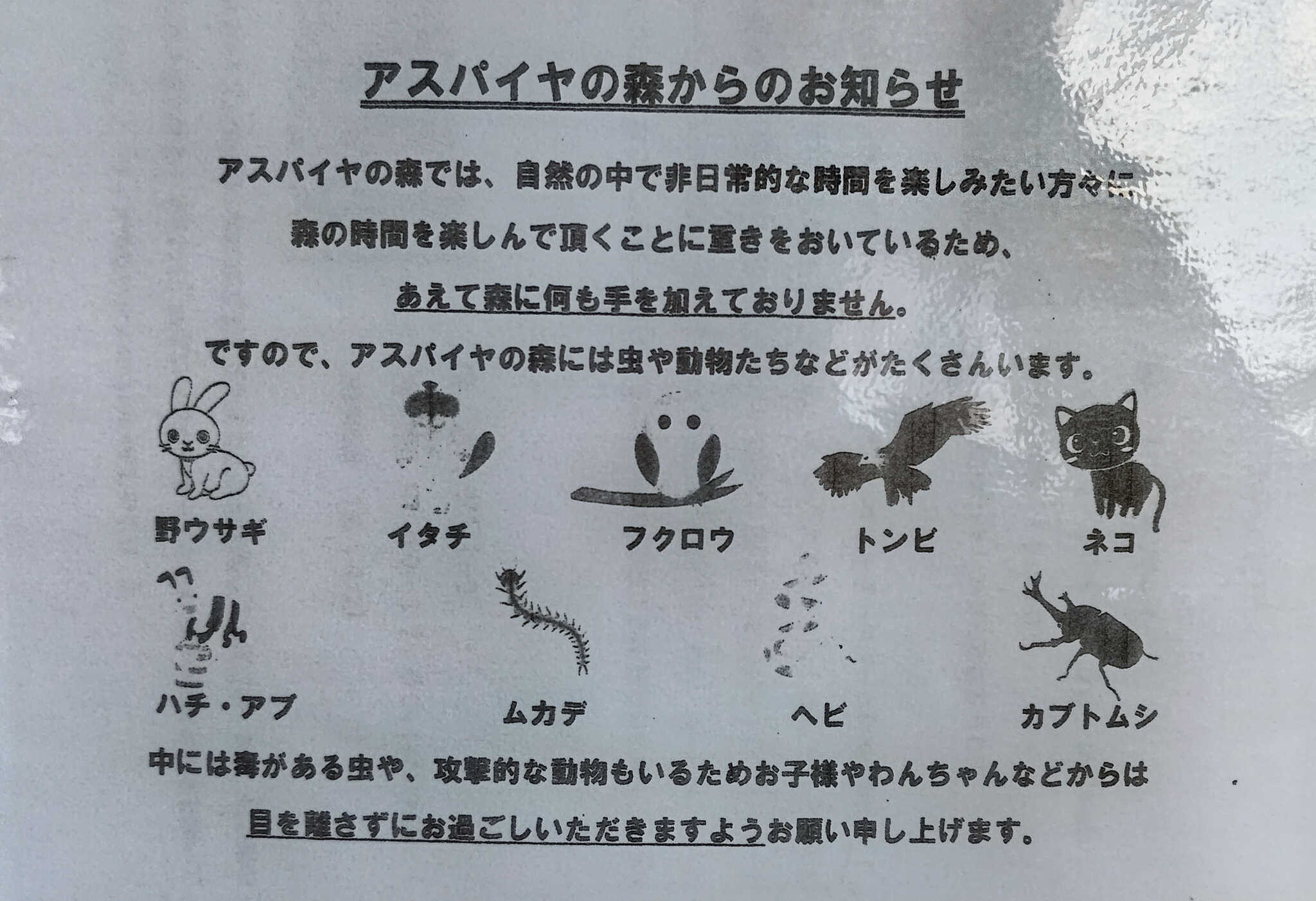 虫の案内